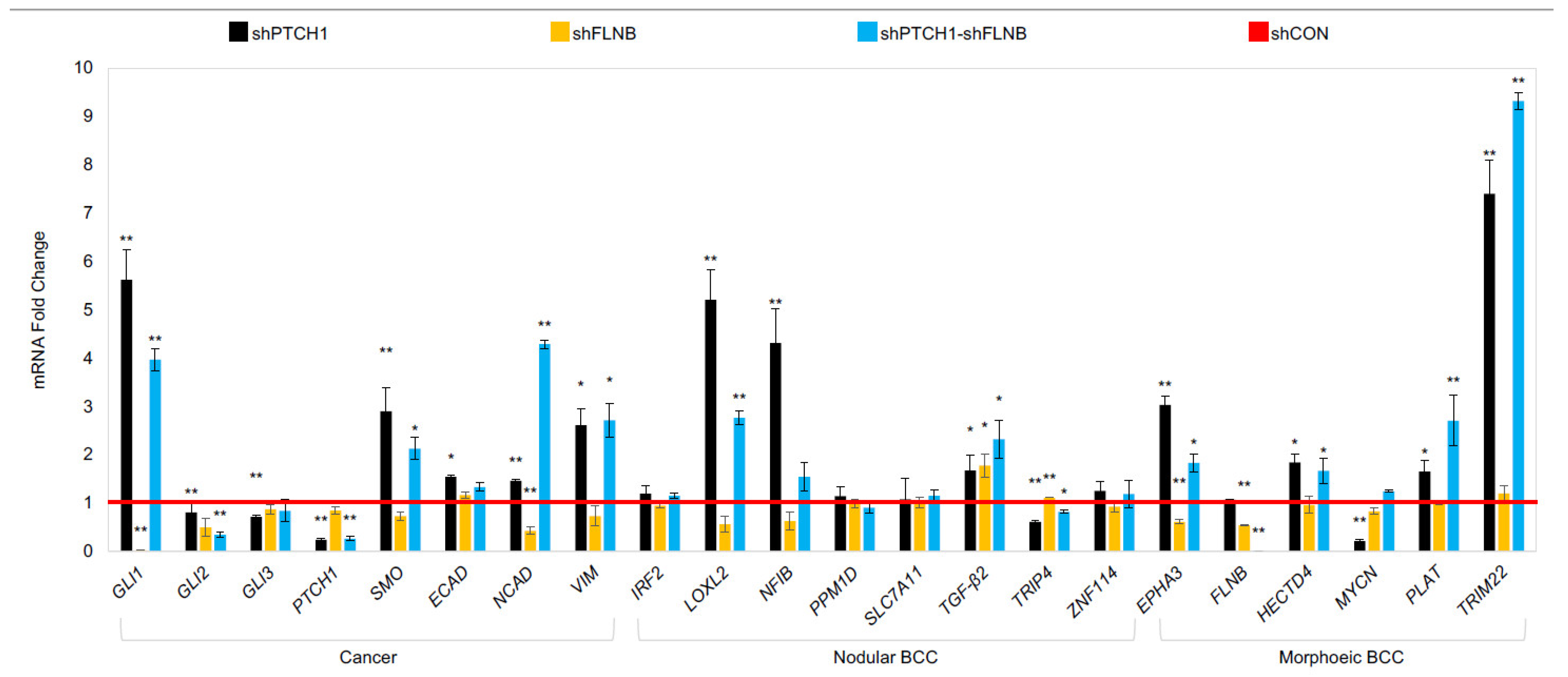 Ijms 26 11377 g007 Ijms 26 11377 g007