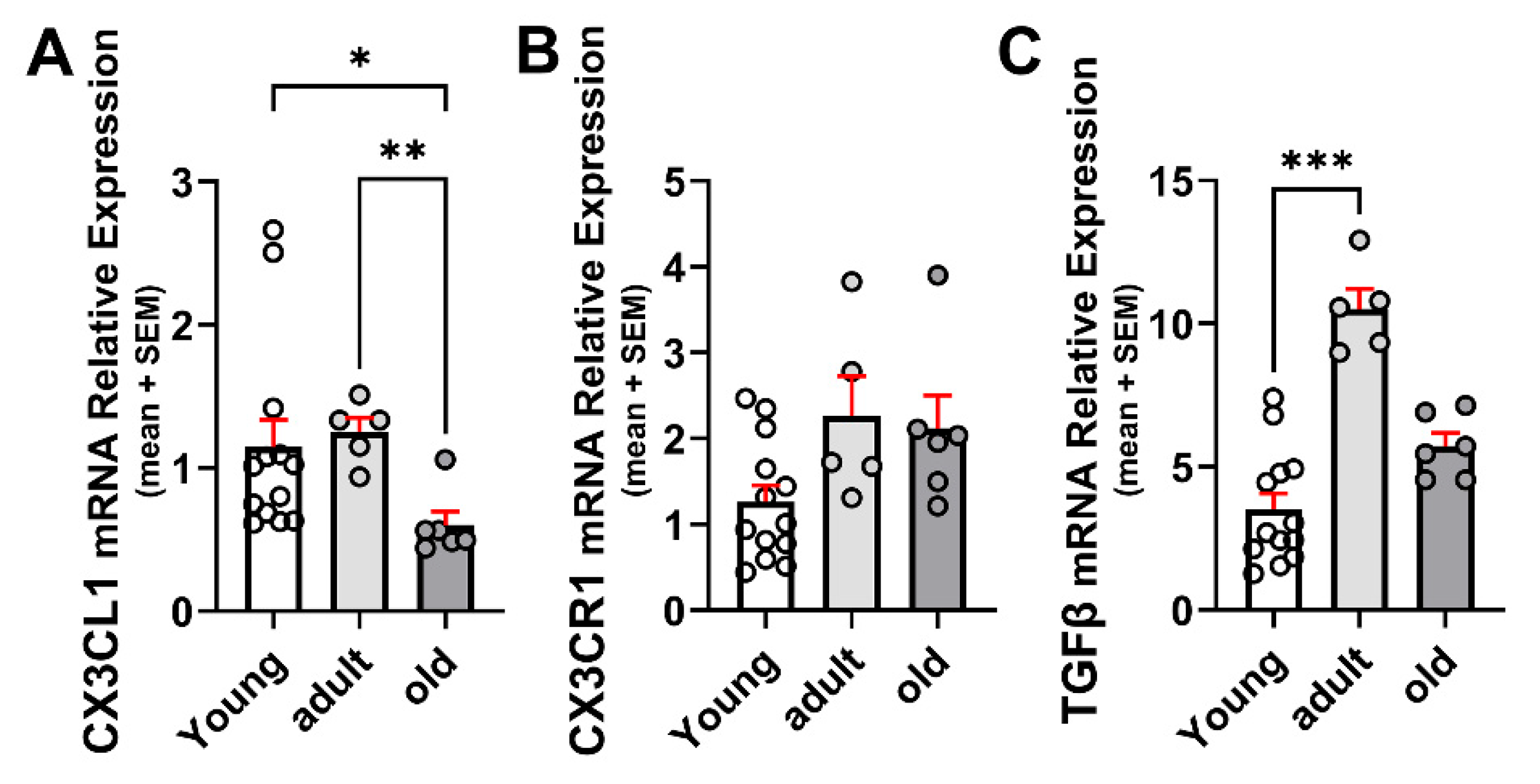 Ijms 26 11378 g001 Ijms 26 11378 g001