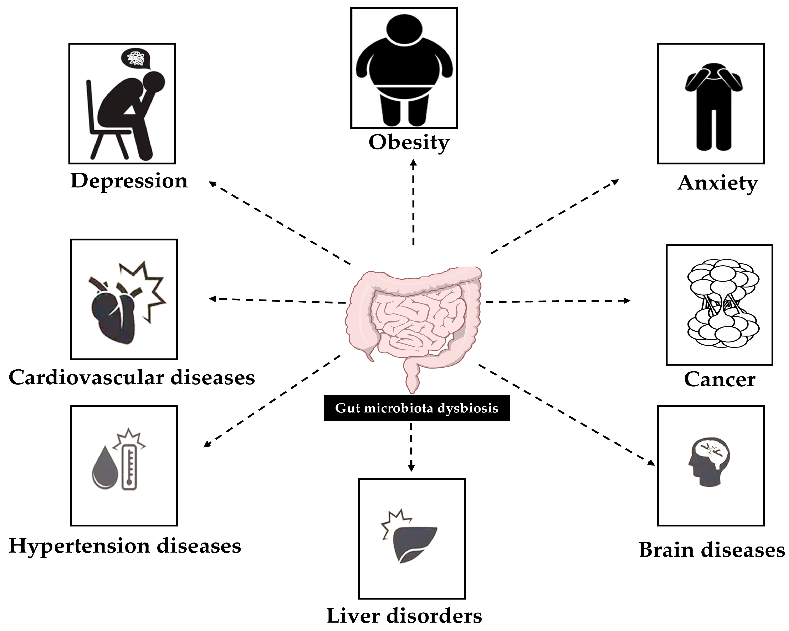 Ijms 26 11379 g001 Ijms 26 11379 g001