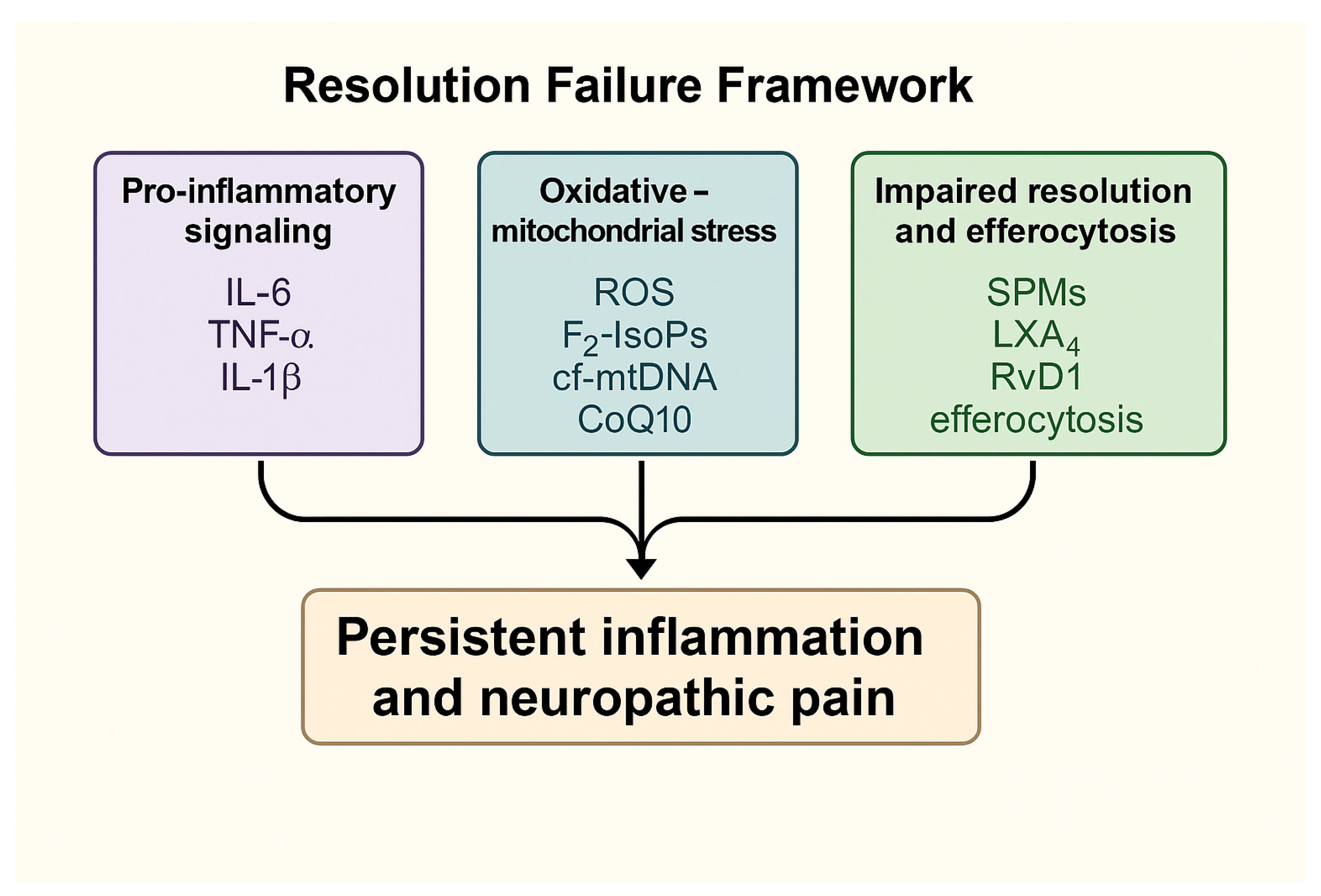 Ijms 26 11383 g001 Ijms 26 11383 g001