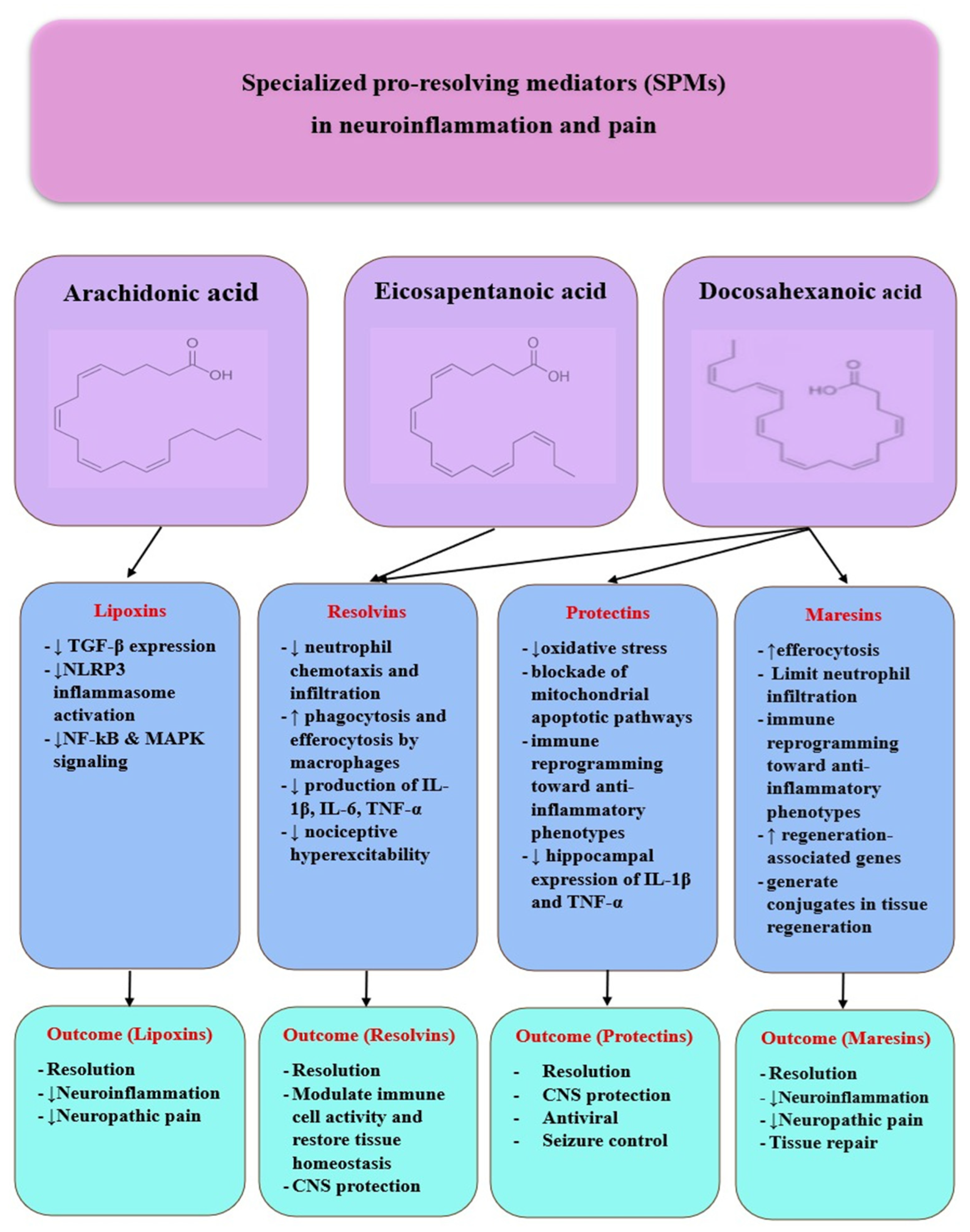 Ijms 26 11383 g003 Ijms 26 11383 g003