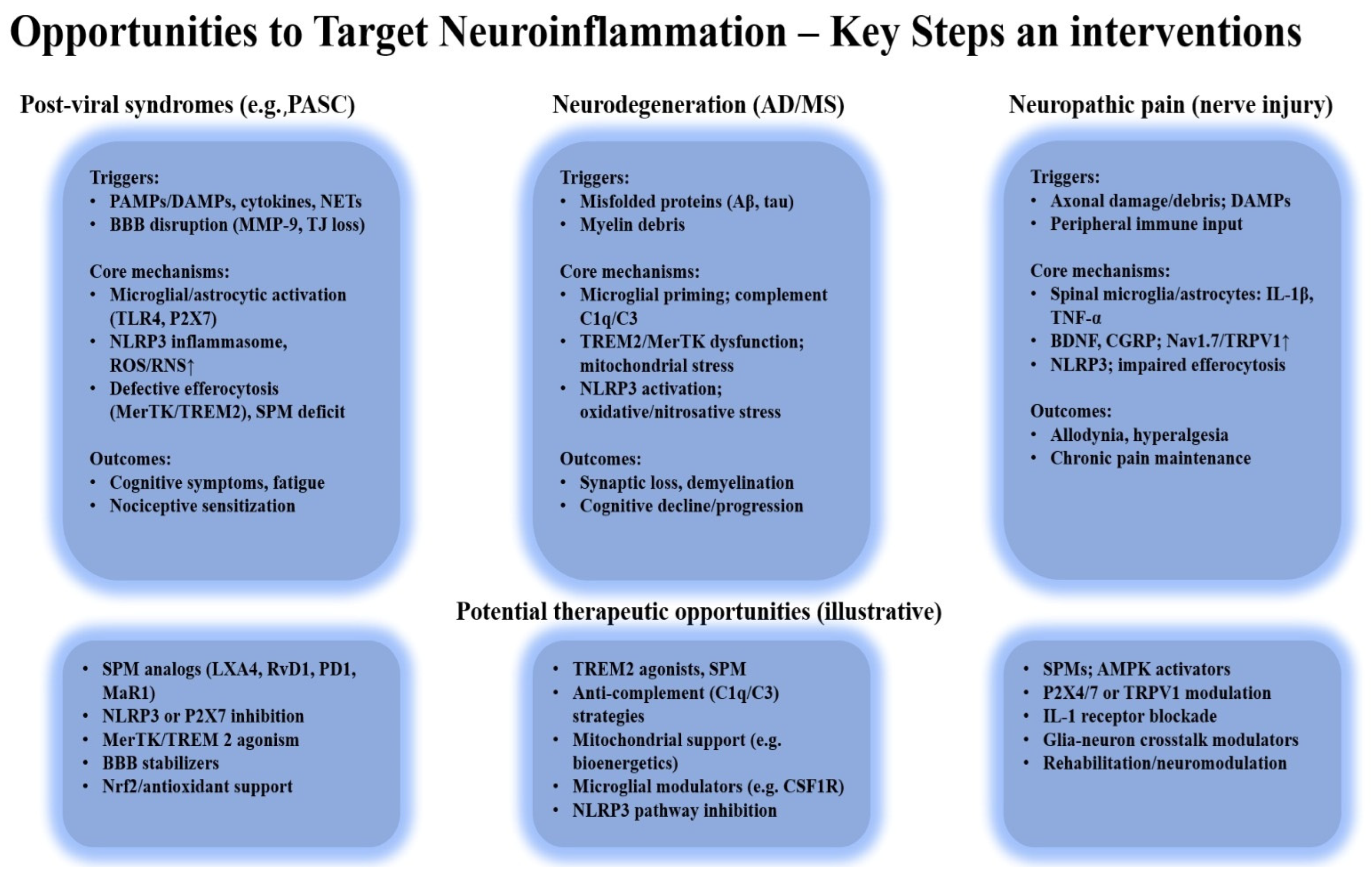 Ijms 26 11383 g005 Ijms 26 11383 g005