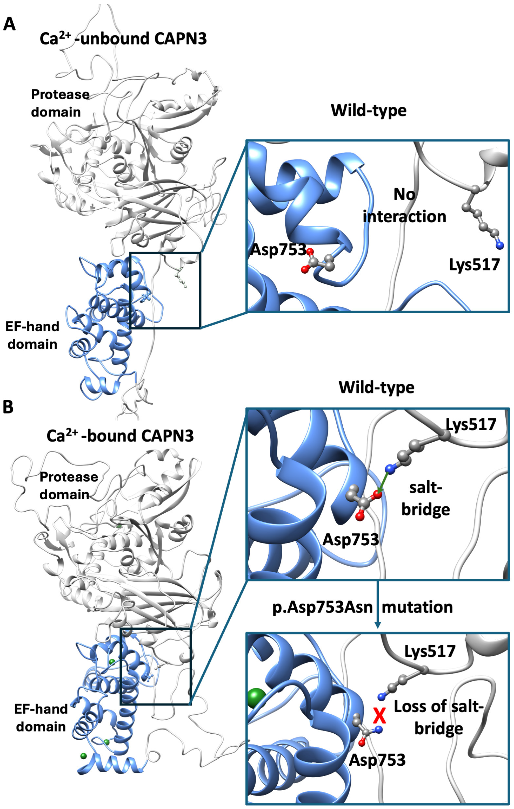 Ijms 26 11384 g002 Ijms 26 11384 g002