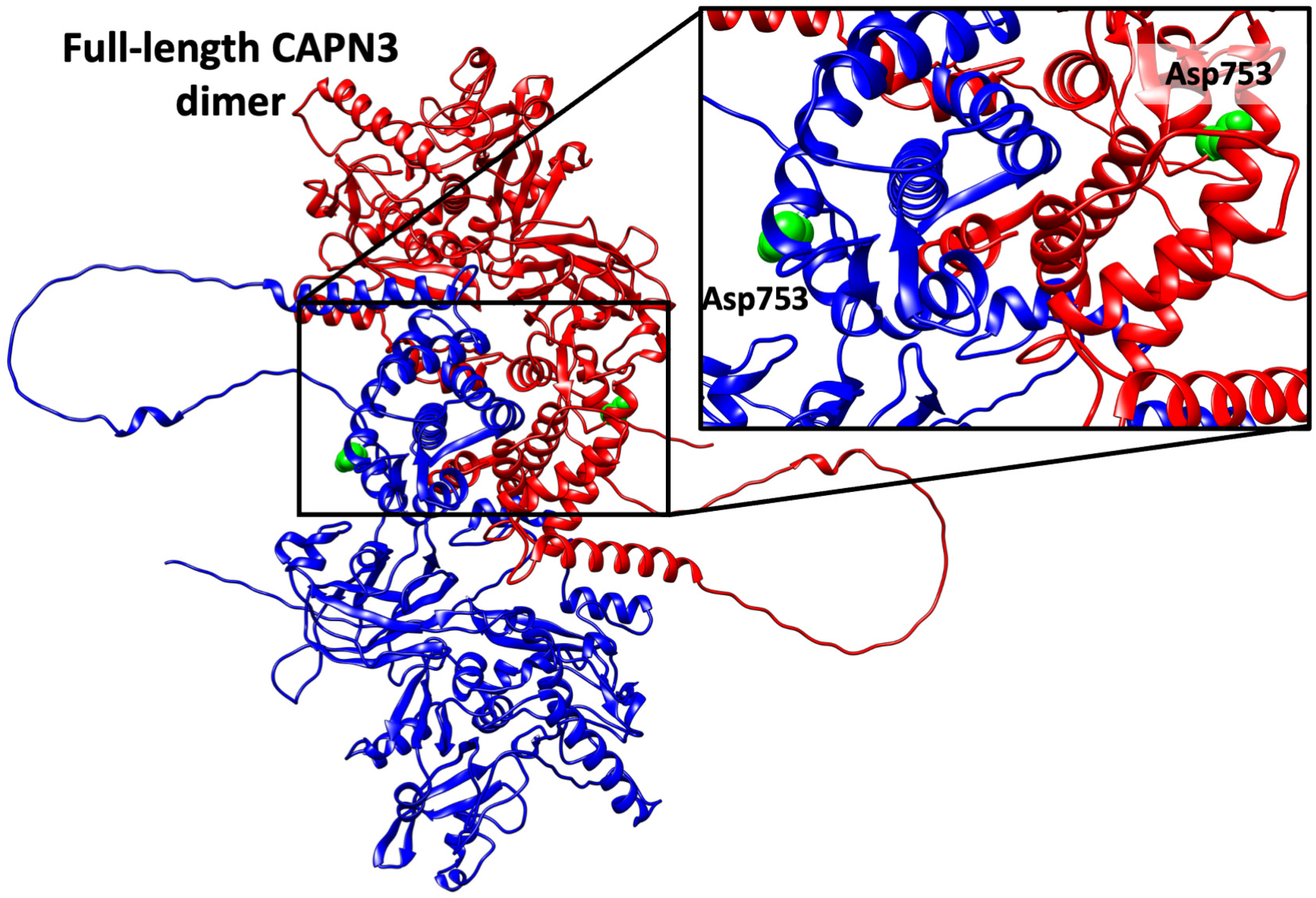 Ijms 26 11384 g0a1 Ijms 26 11384 g0a1