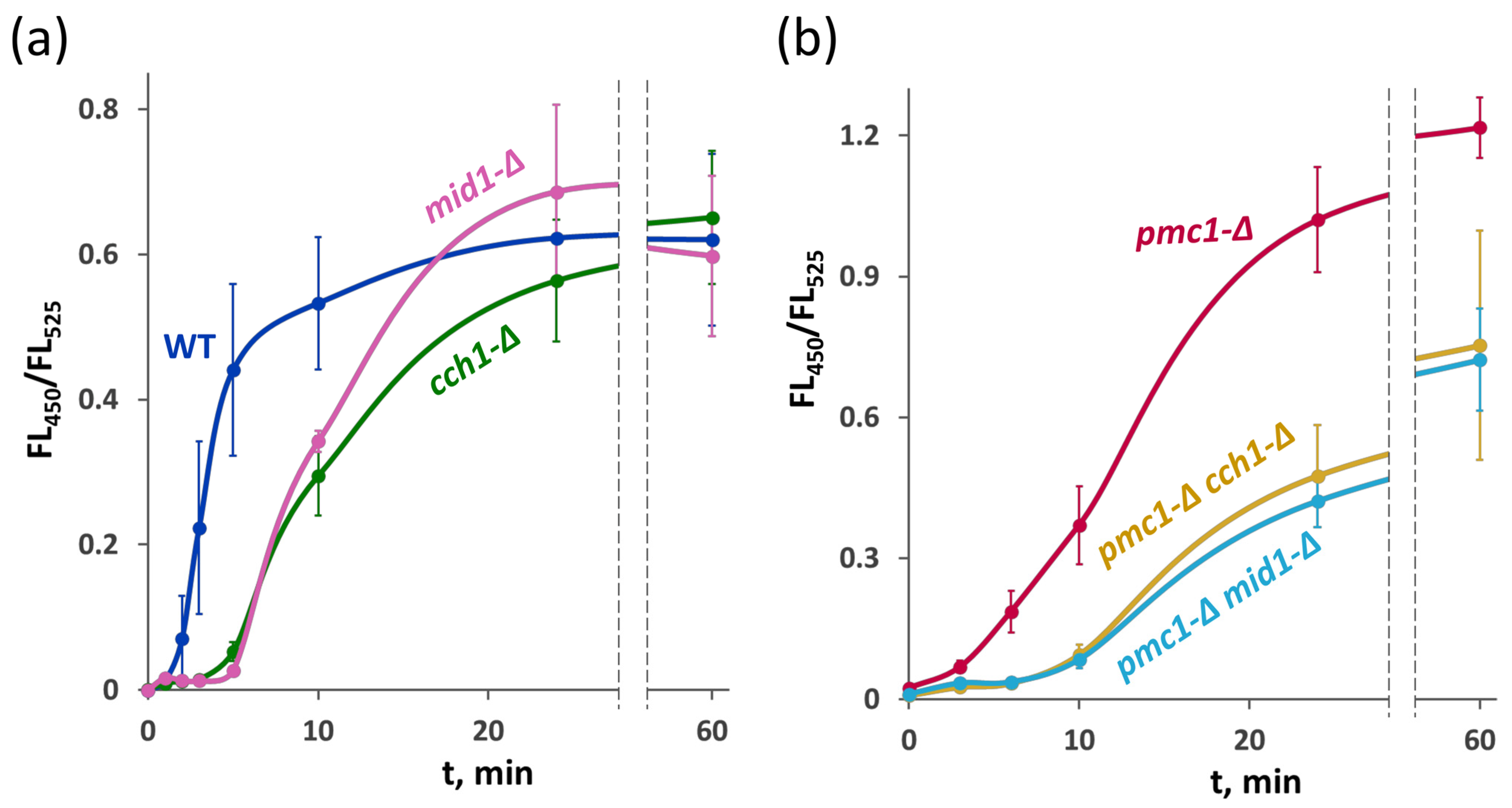 Ijms 26 11386 g007 Ijms 26 11386 g007