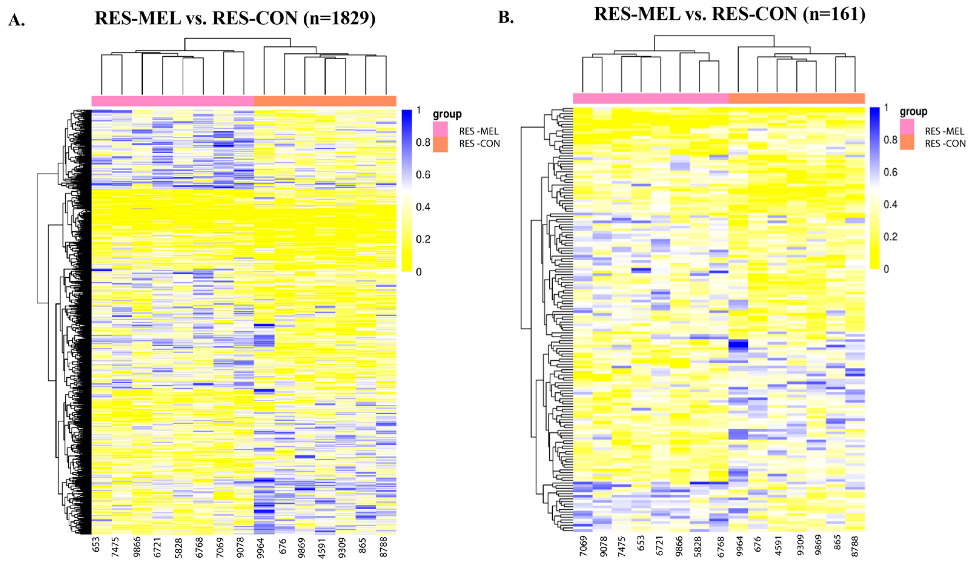 Ijms 26 11387 g001 Ijms 26 11387 g001