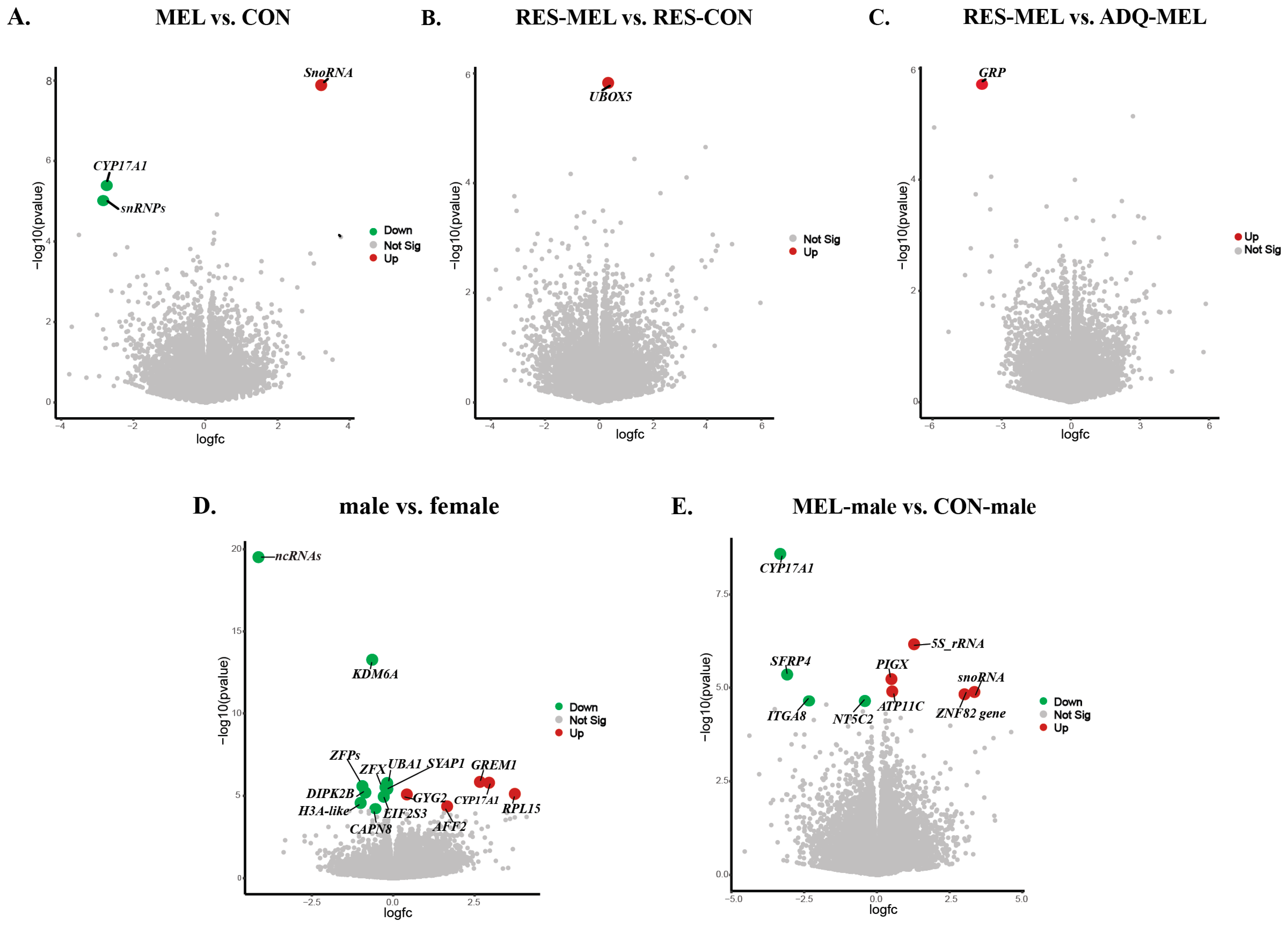 Ijms 26 11387 g005 Ijms 26 11387 g005