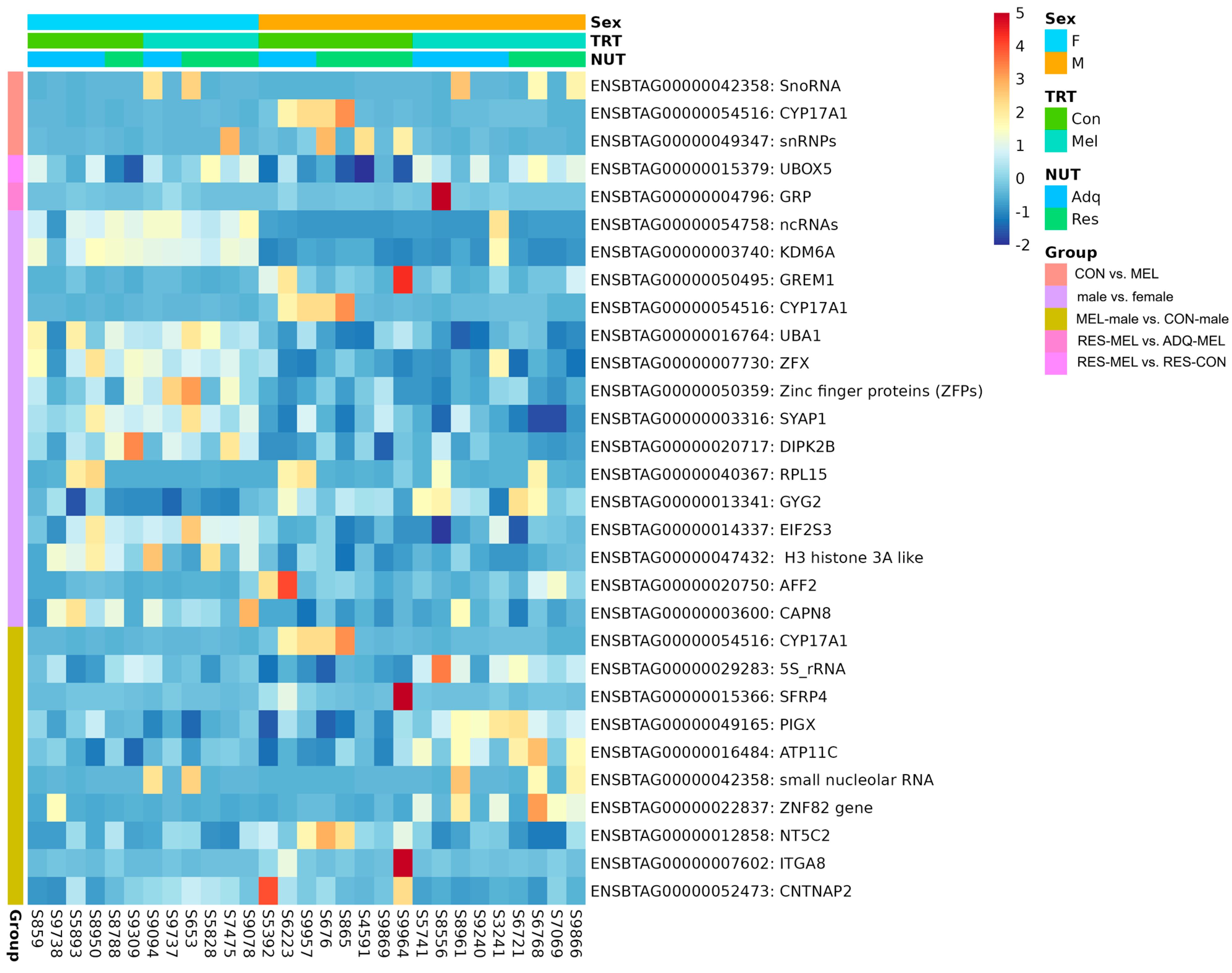 Ijms 26 11387 g006 Ijms 26 11387 g006
