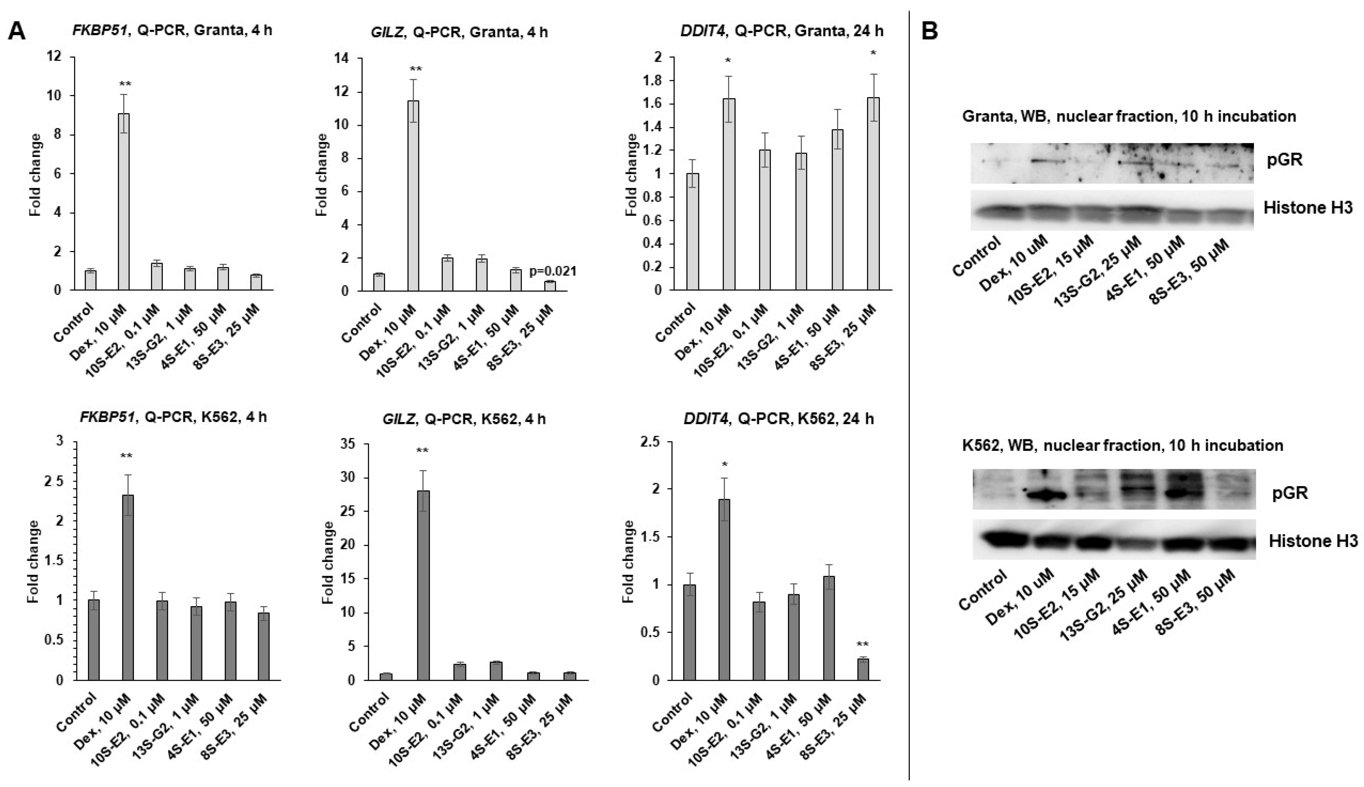 Ijms 26 11404 g003 Ijms 26 11404 g003