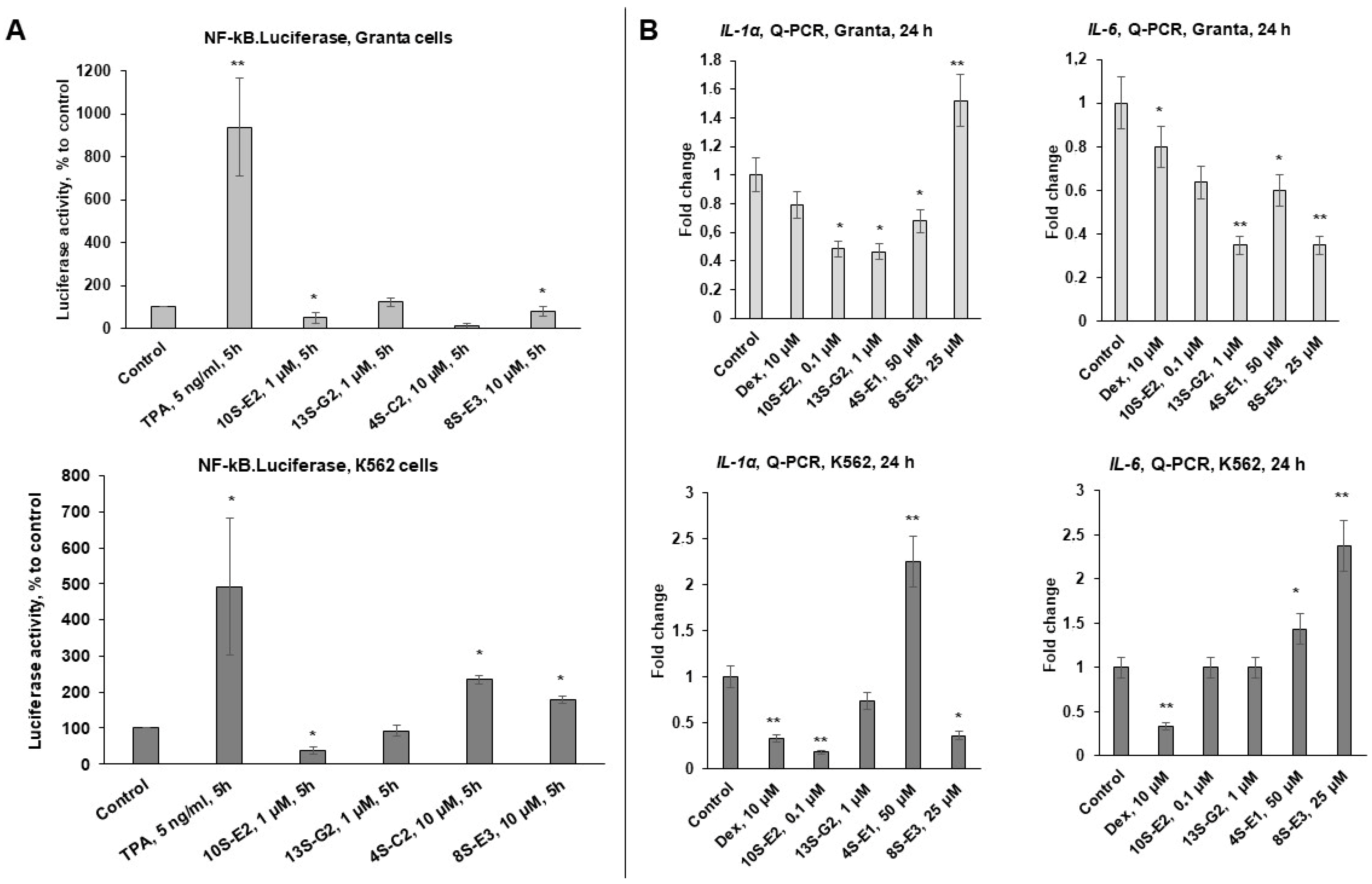 Ijms 26 11404 g004 Ijms 26 11404 g004