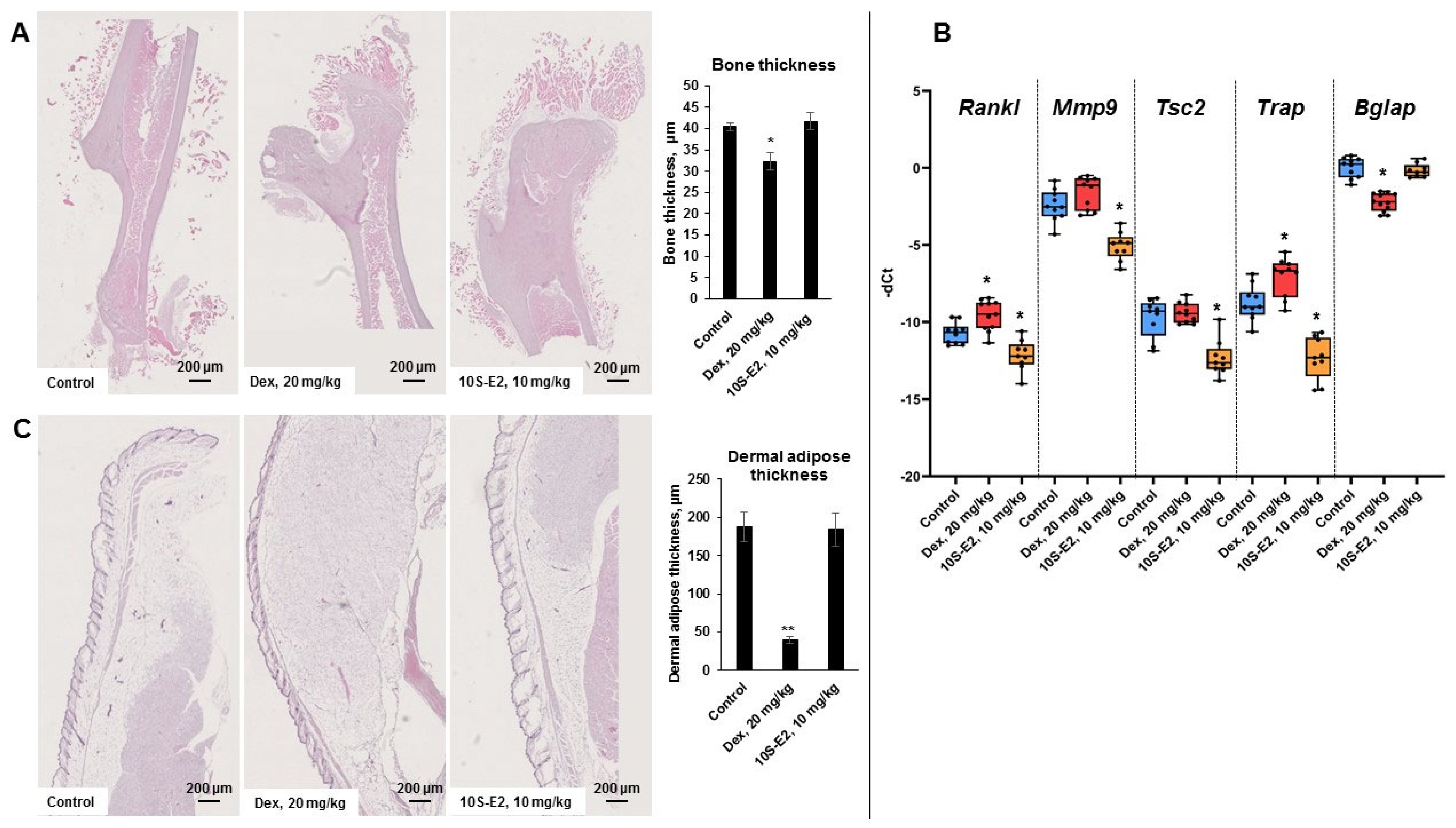 Ijms 26 11404 g006 Ijms 26 11404 g006