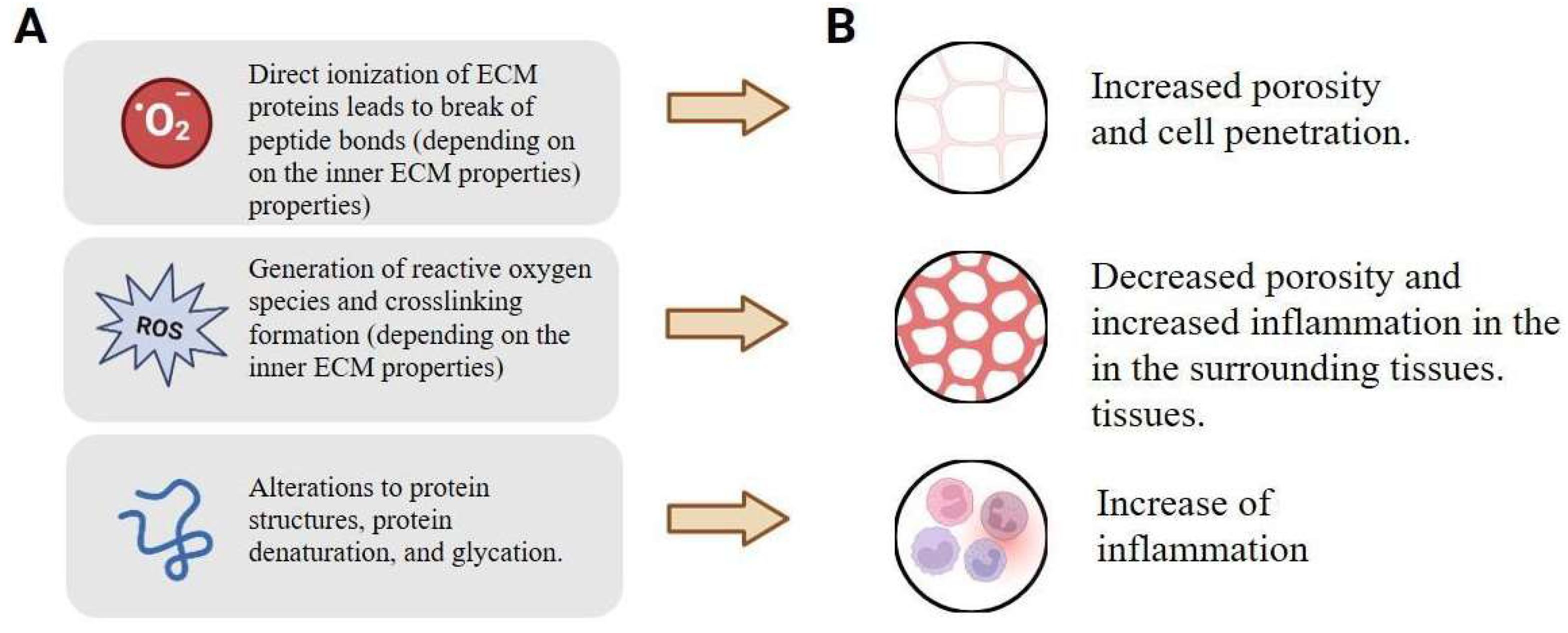 Ijms 26 11415 g001 Ijms 26 11415 g001