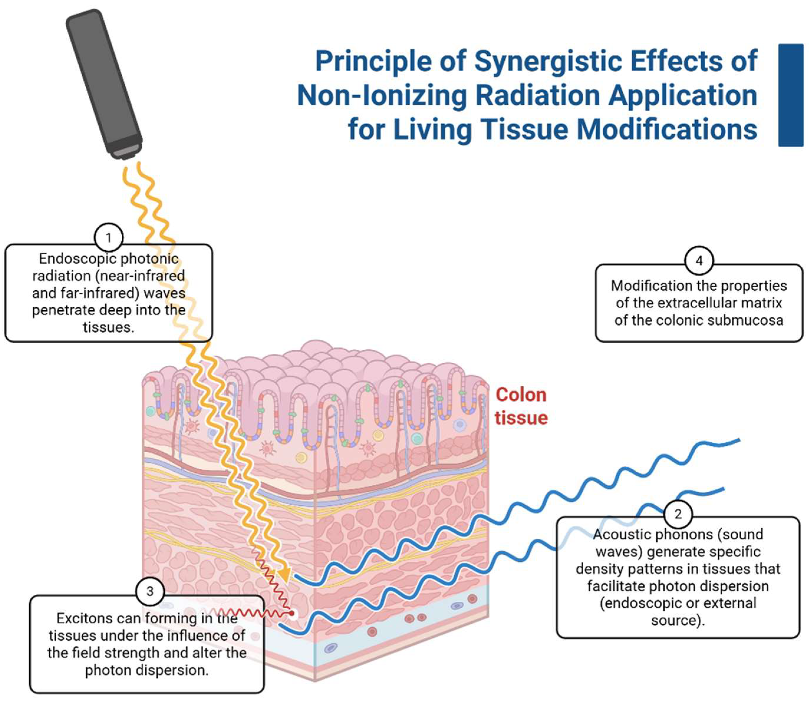 Ijms 26 11415 g002 Ijms 26 11415 g002