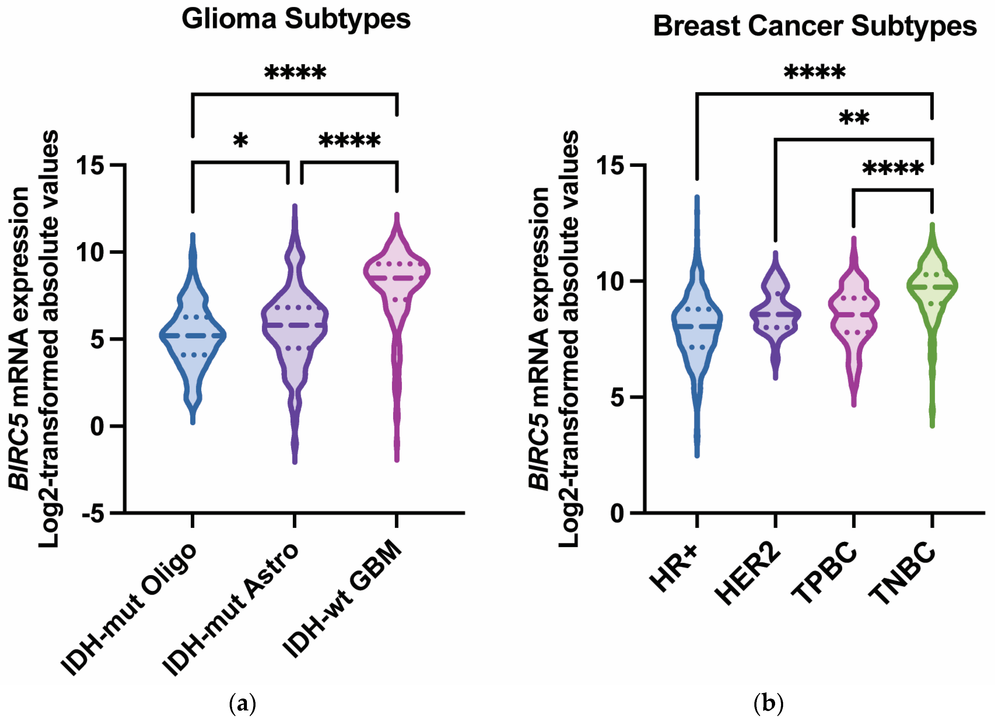 Ijms 26 11417 g002 Ijms 26 11417 g002