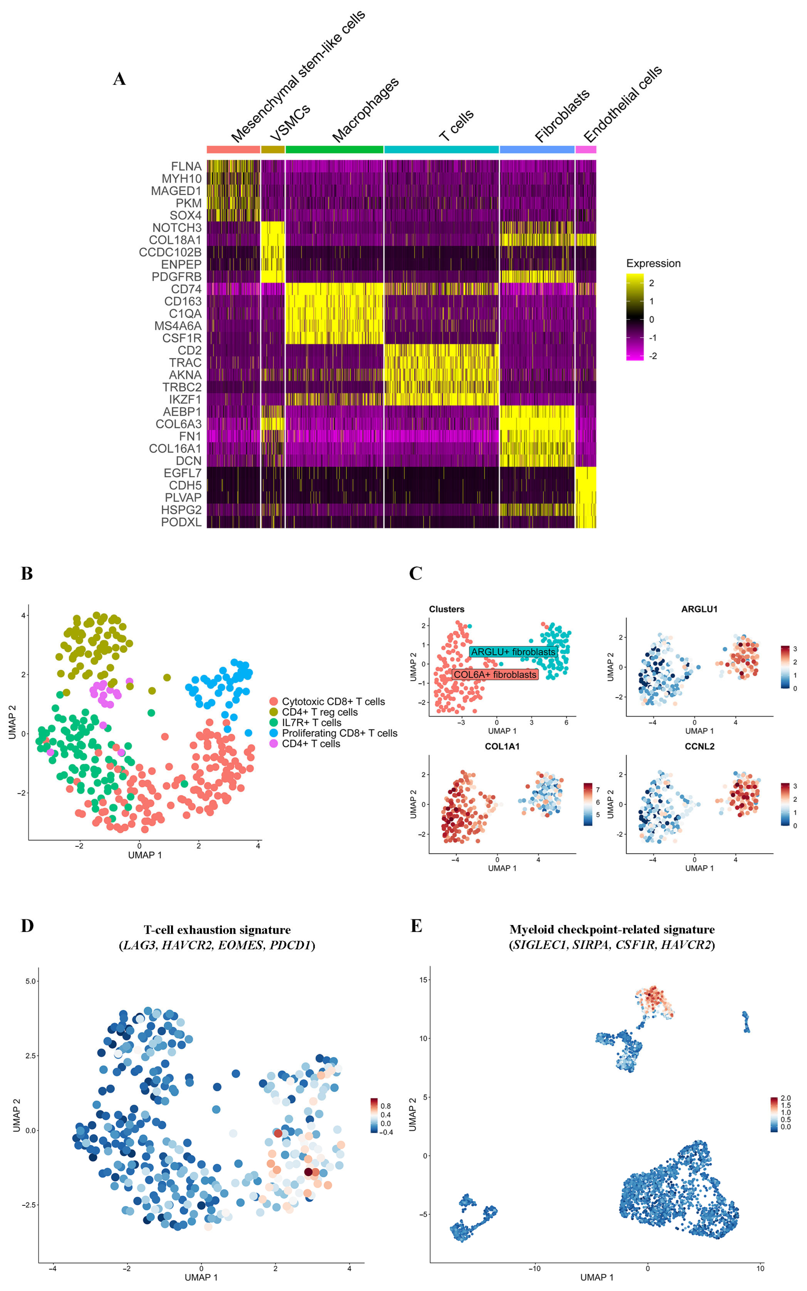 Ijms 26 11420 g003 Ijms 26 11420 g003
