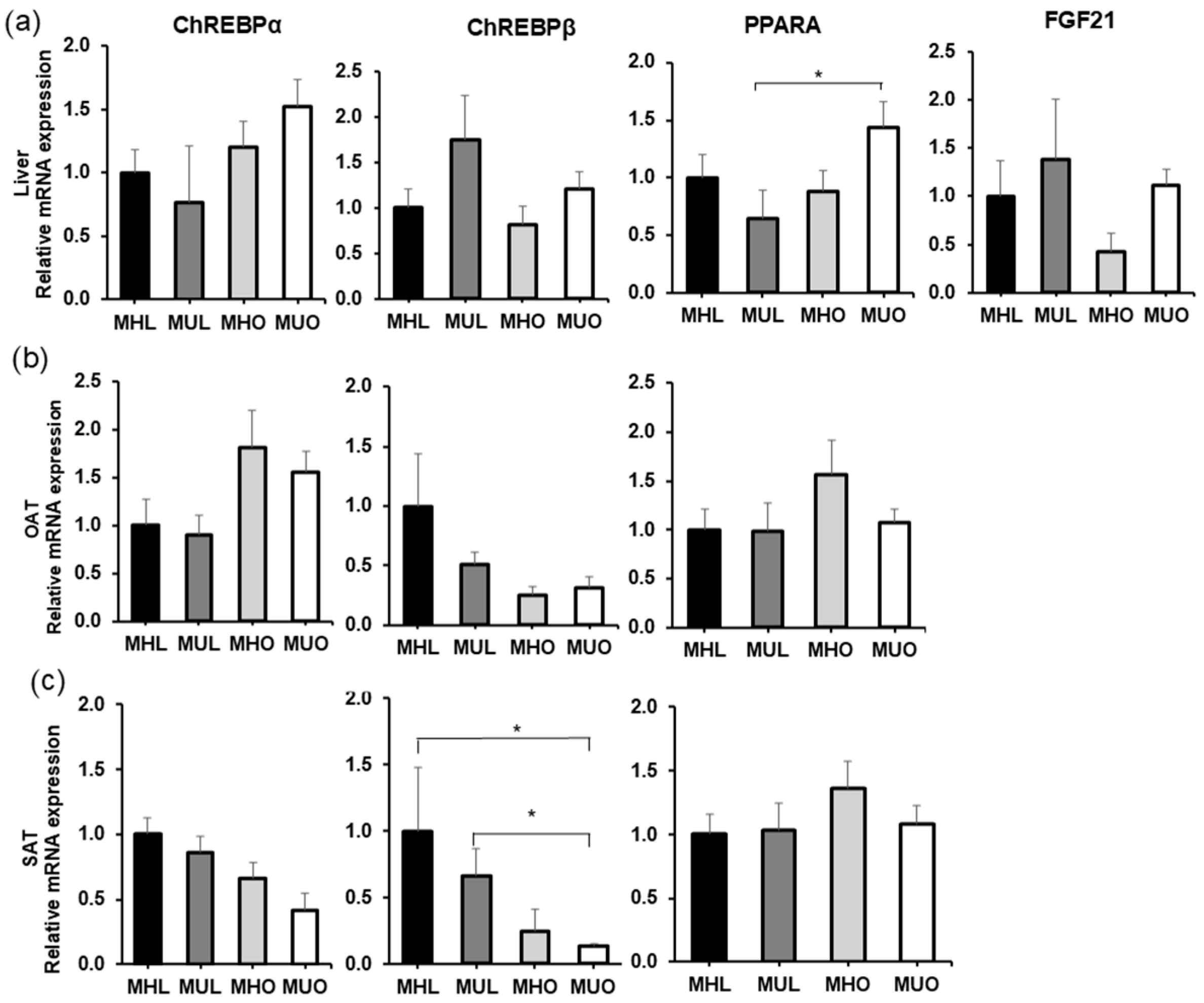 Ijms 26 11425 g001 Ijms 26 11425 g001