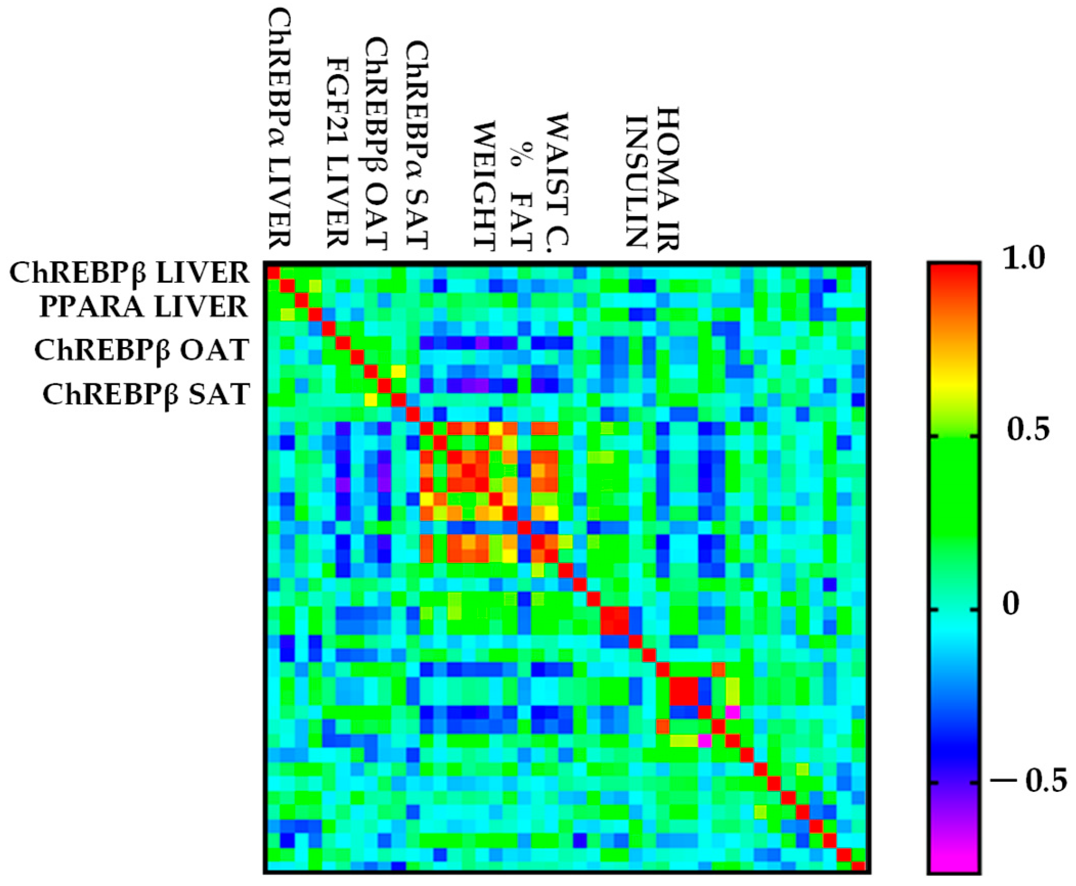 Ijms 26 11425 g002 Ijms 26 11425 g002