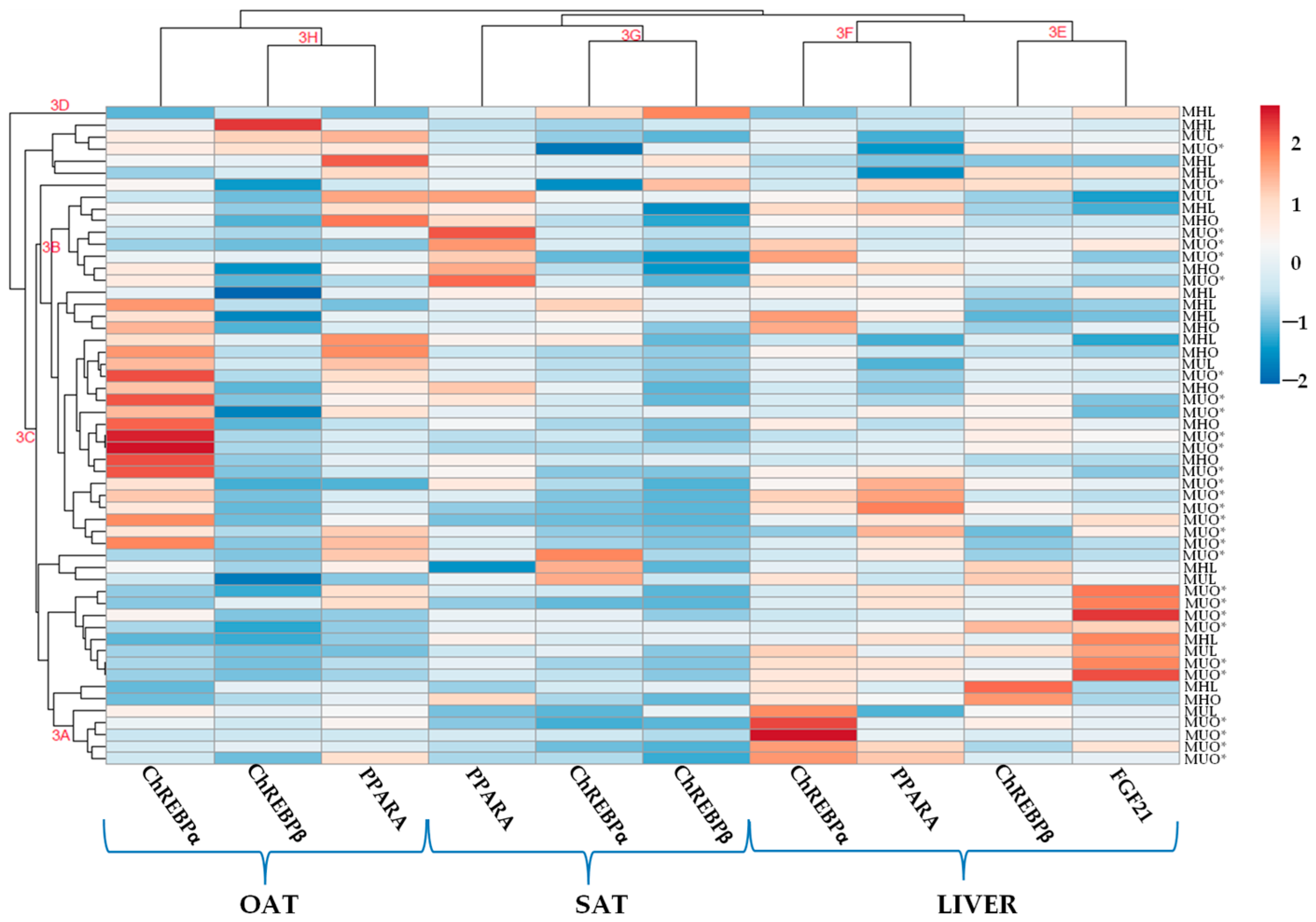 Ijms 26 11425 g003 Ijms 26 11425 g003