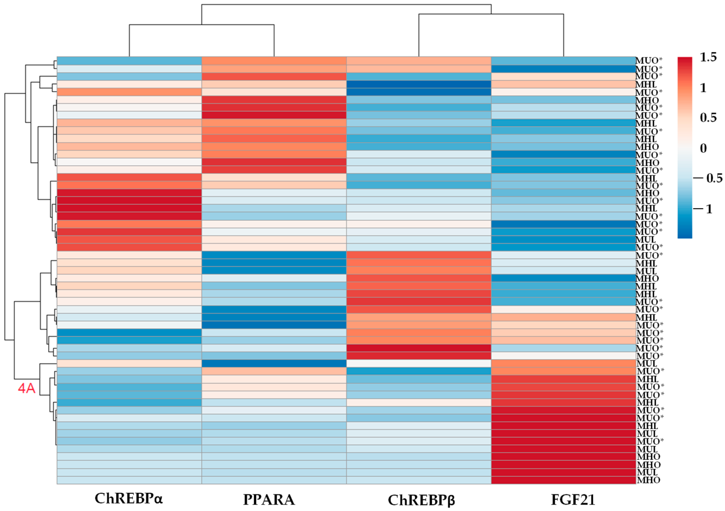 Ijms 26 11425 g004 Ijms 26 11425 g004