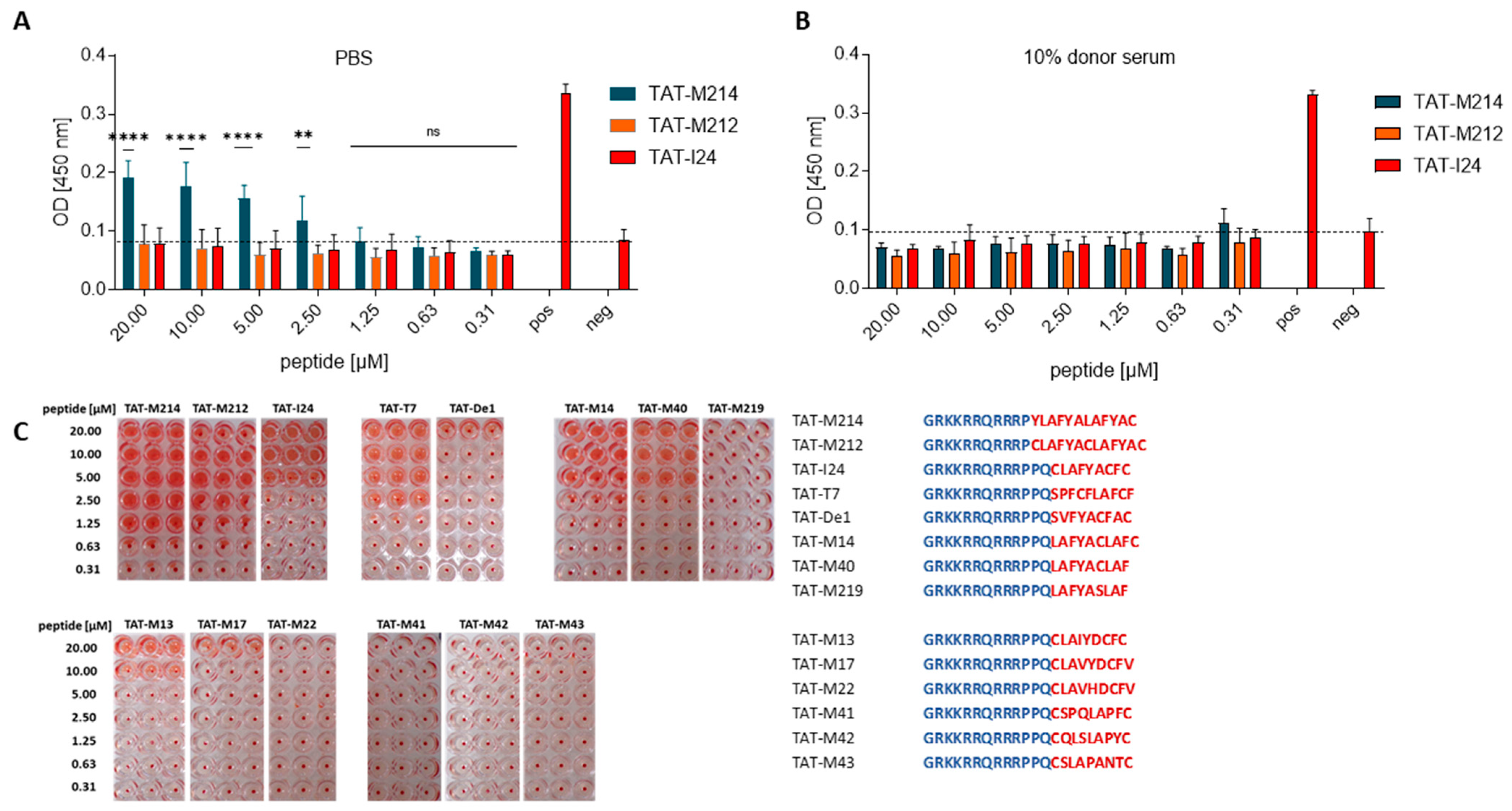 Ijms 26 11433 g004 Ijms 26 11433 g004