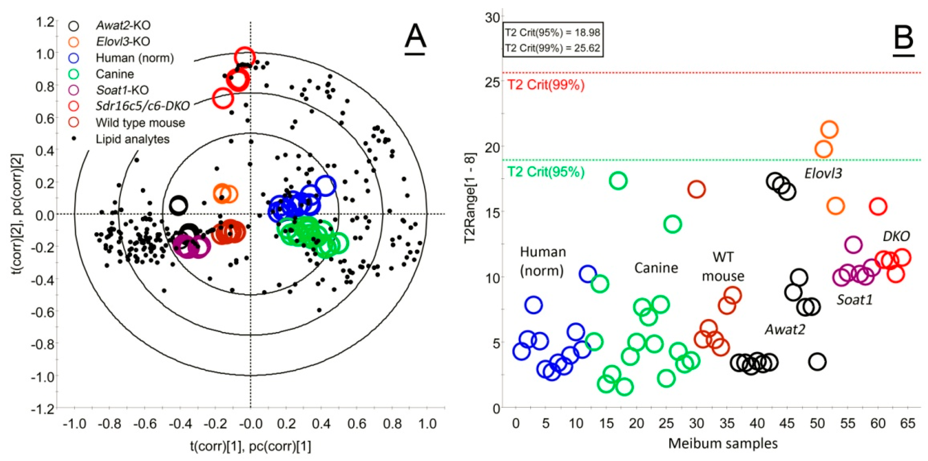 Ijms 26 11434 g001 Ijms 26 11434 g001
