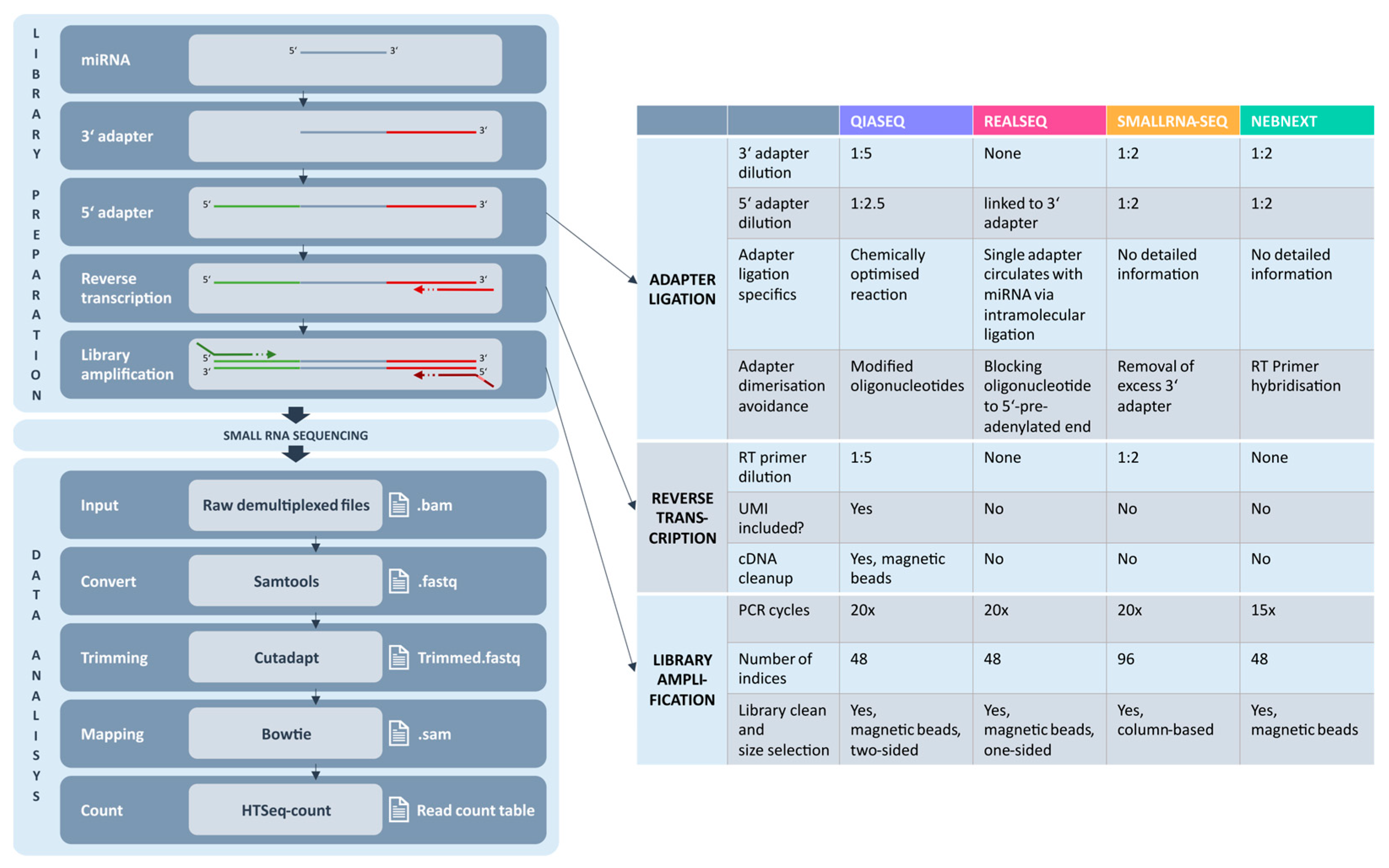 Ijms 26 11437 g001 Ijms 26 11437 g001