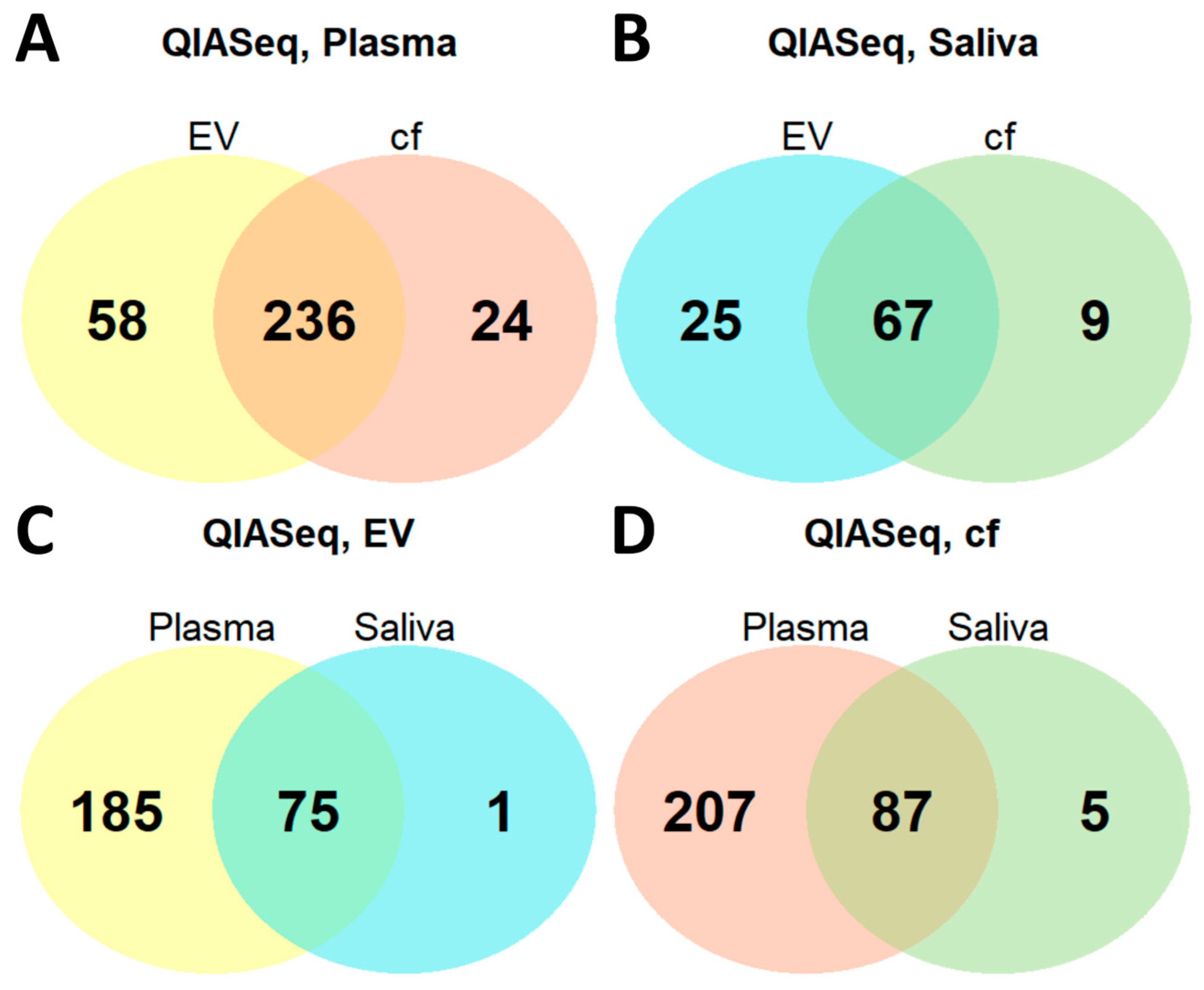 Ijms 26 11437 g006 Ijms 26 11437 g006