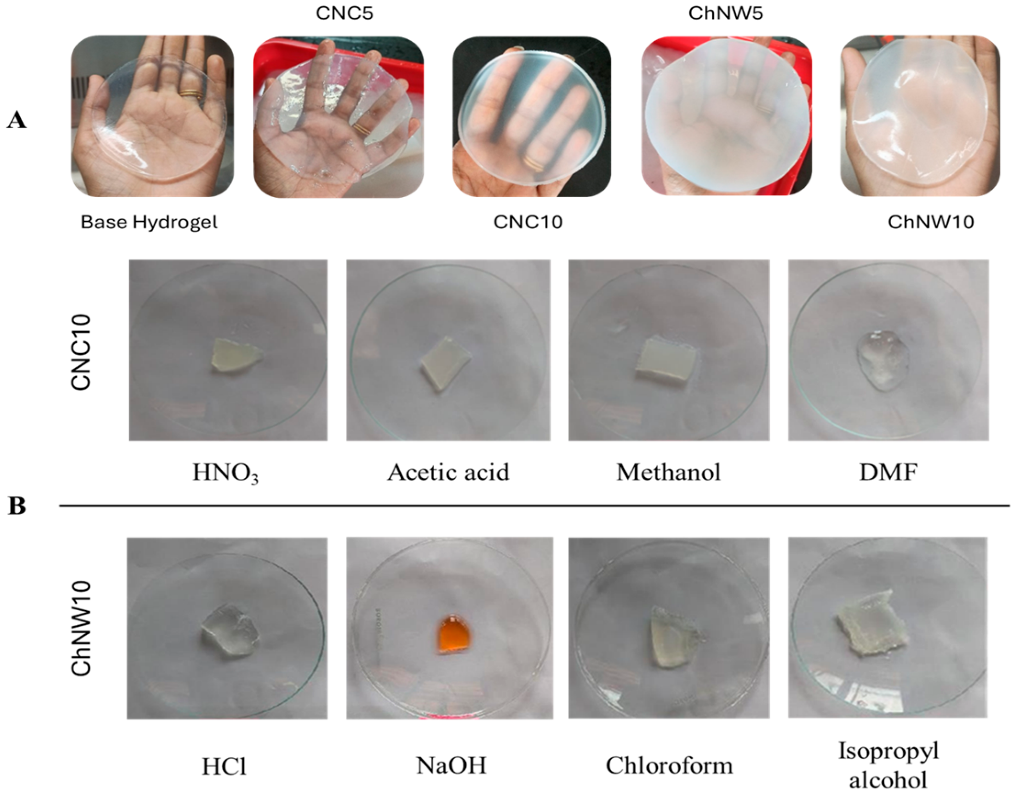 Ijms 26 11438 g002 Ijms 26 11438 g002