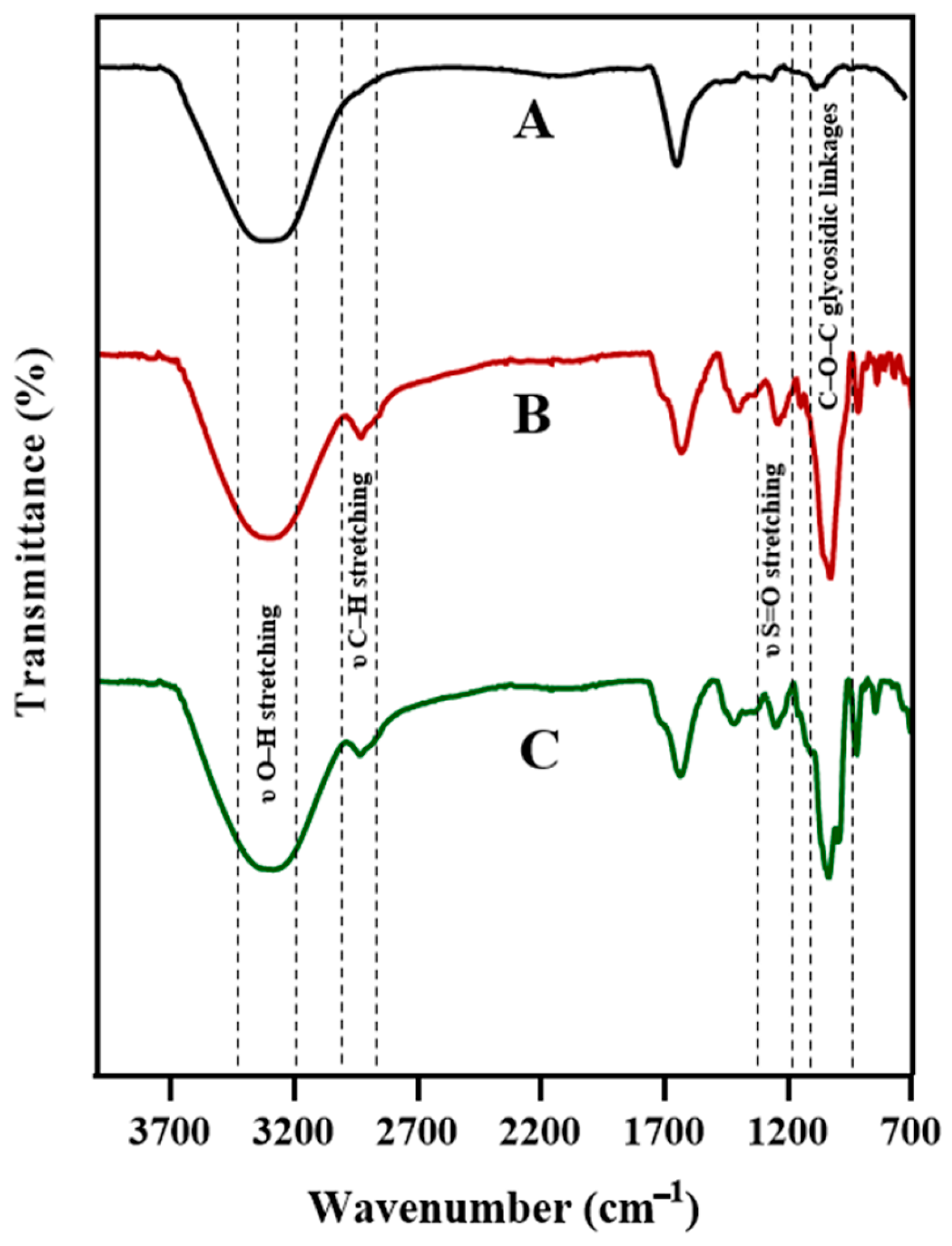 Ijms 26 11438 g003 Ijms 26 11438 g003