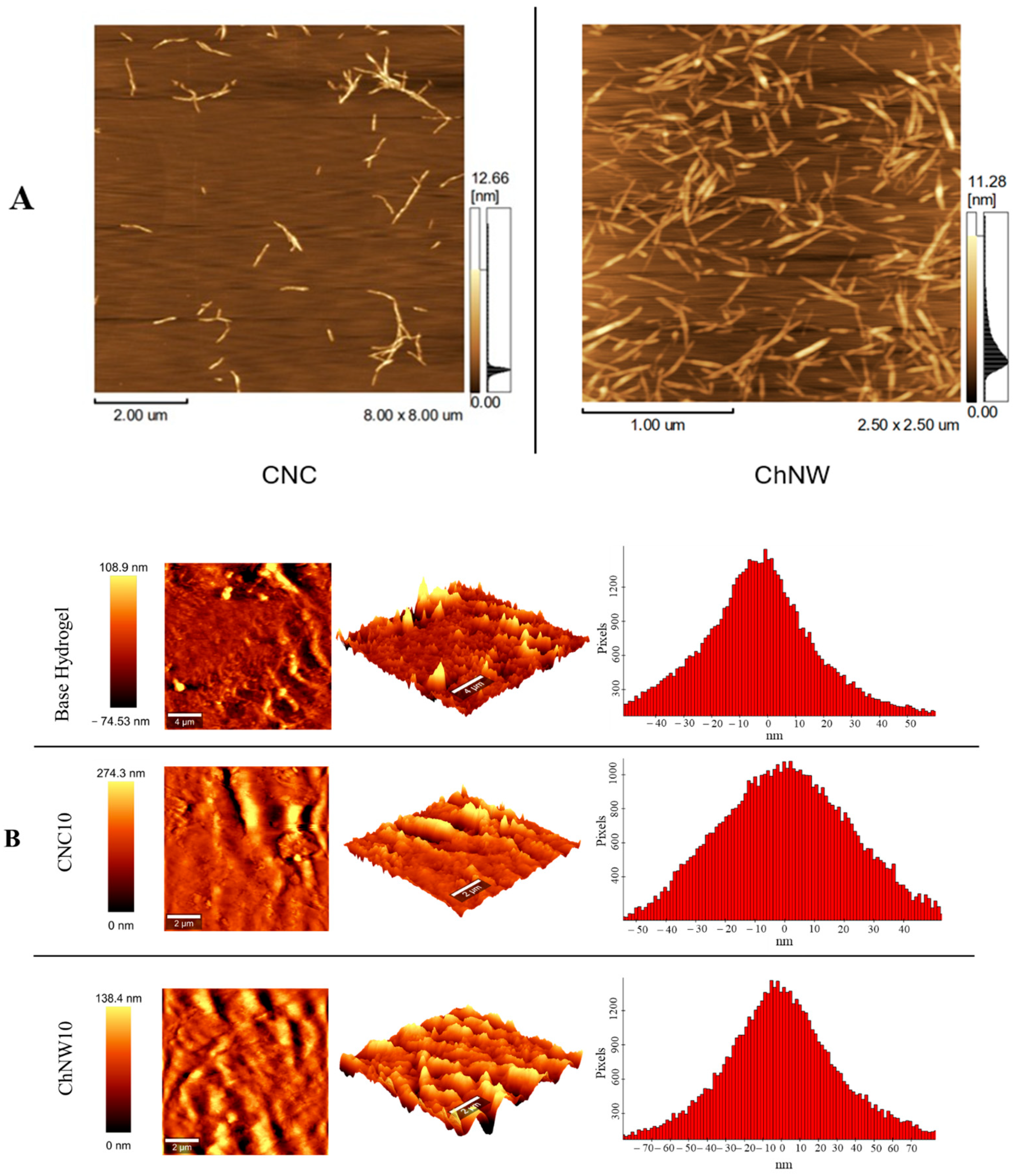Ijms 26 11438 g004 Ijms 26 11438 g004