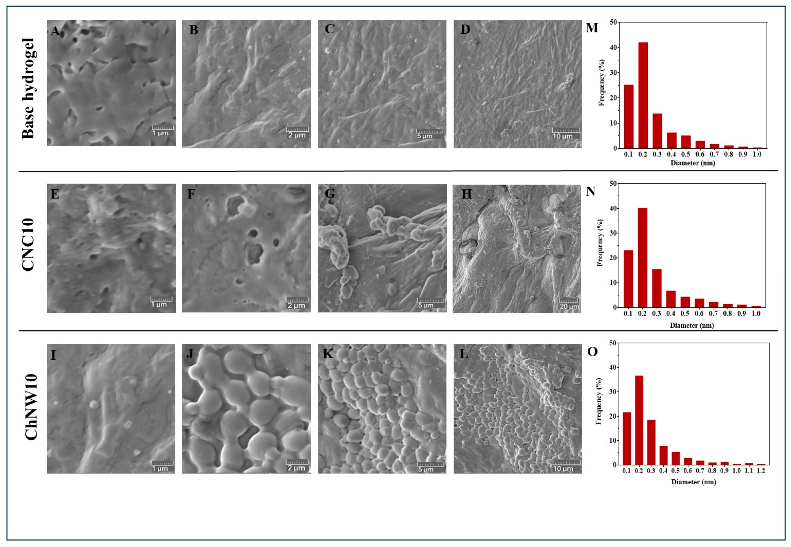 Ijms 26 11438 g005 Ijms 26 11438 g005