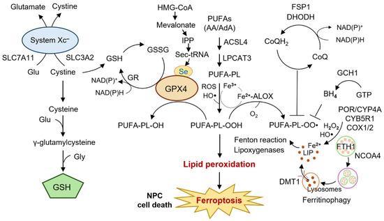 ONE PATTERN　P-MODEL SDC-DeepLabv3+: Lightweight and Precise Localization Algorithm for