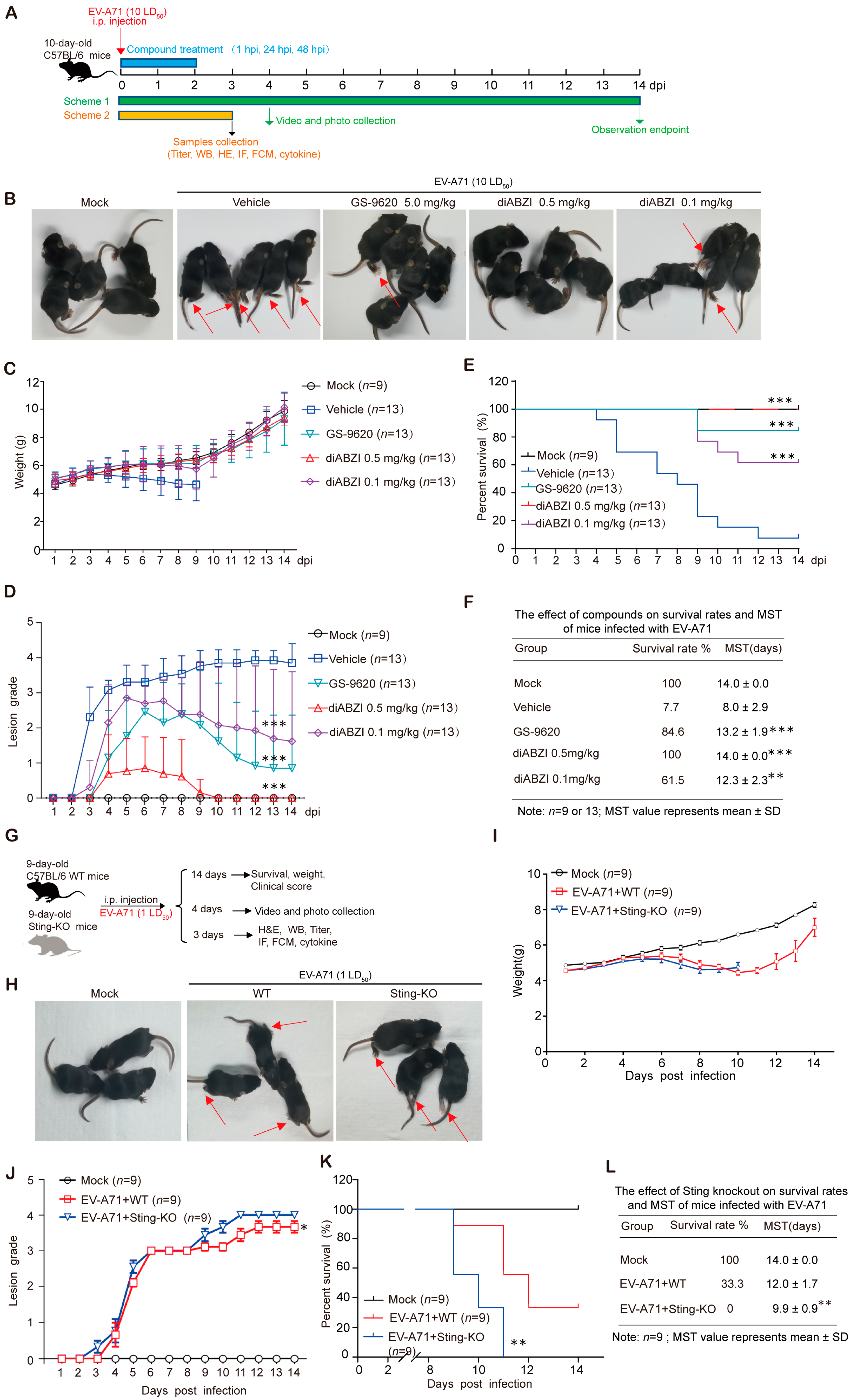 Ijms 26 11441 g001 Ijms 26 11441 g001