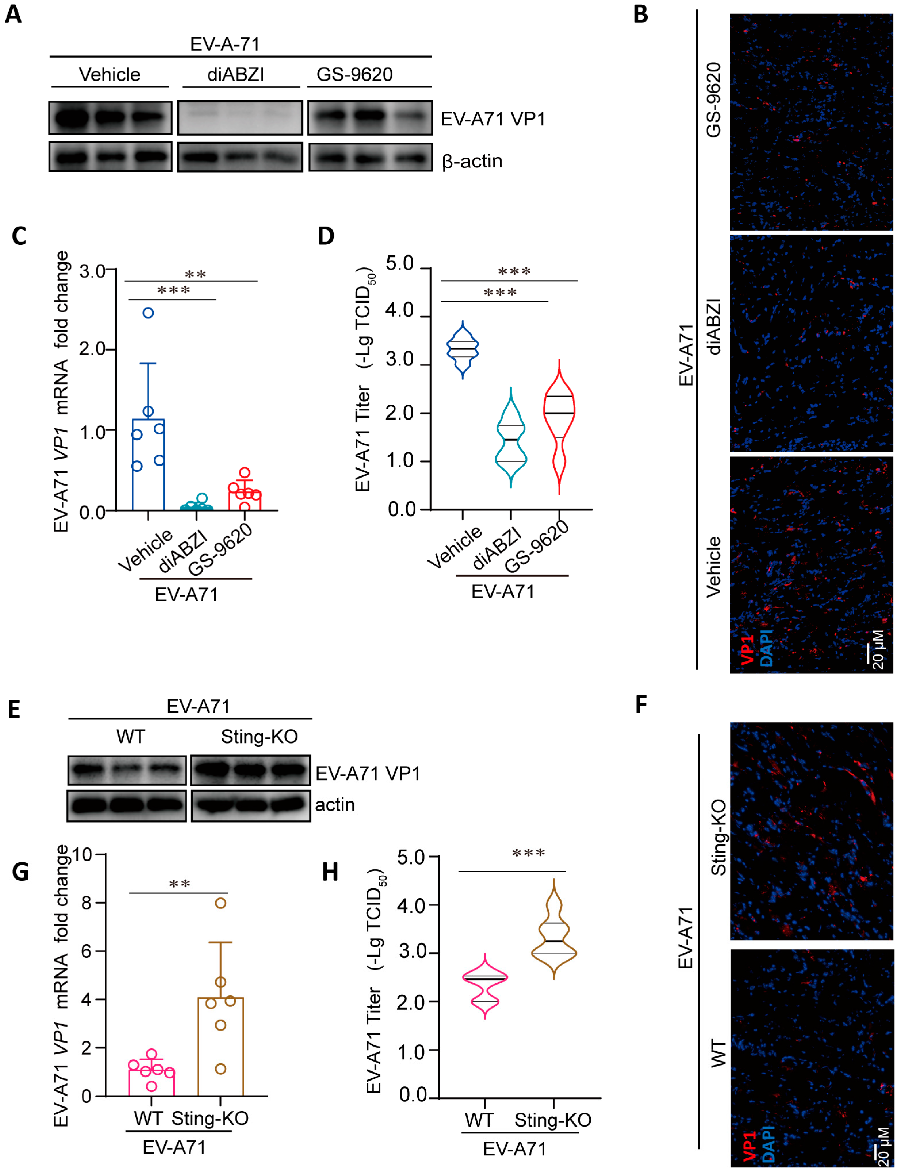 Ijms 26 11441 g002 Ijms 26 11441 g002