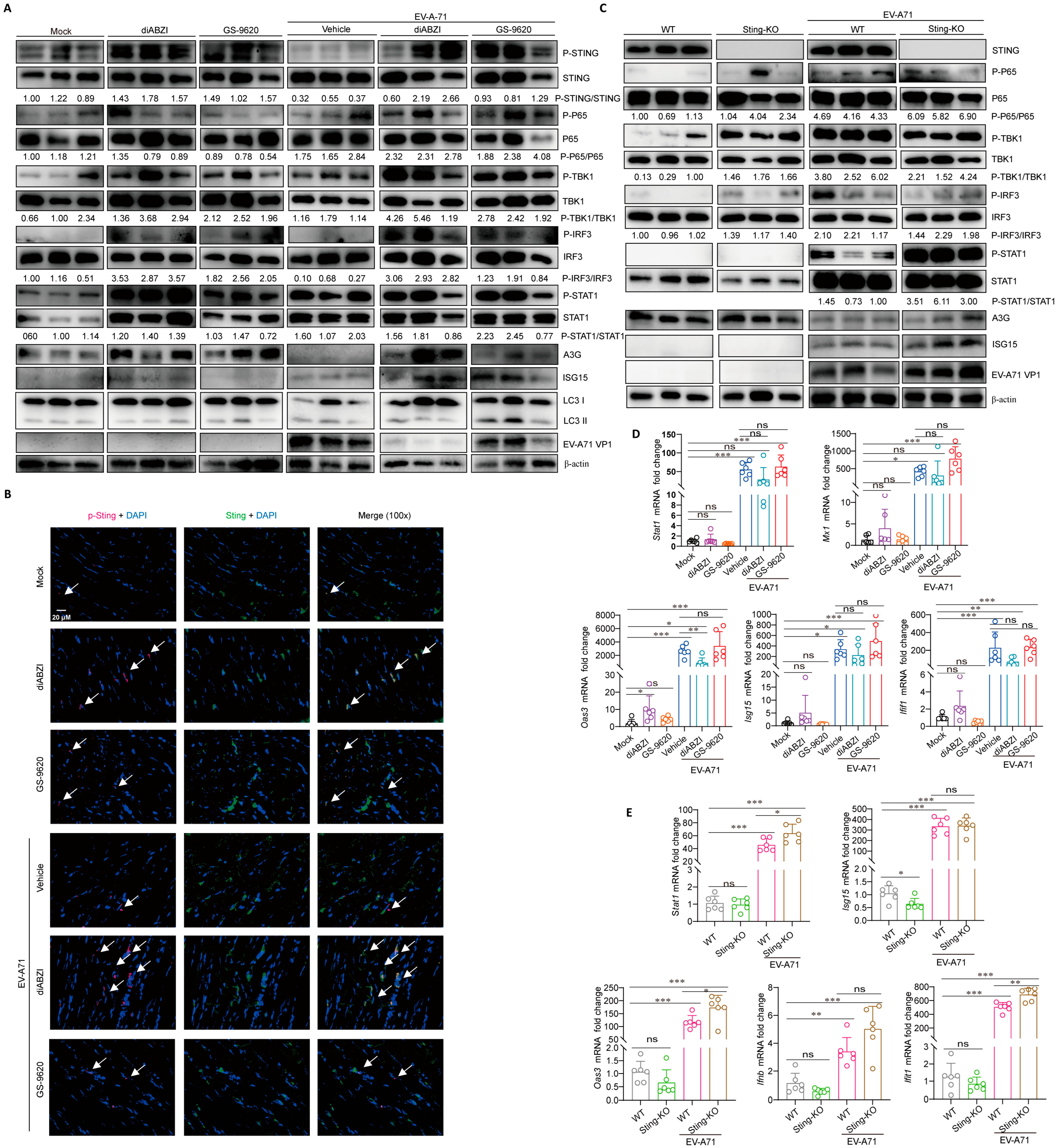 Ijms 26 11441 g003 Ijms 26 11441 g003