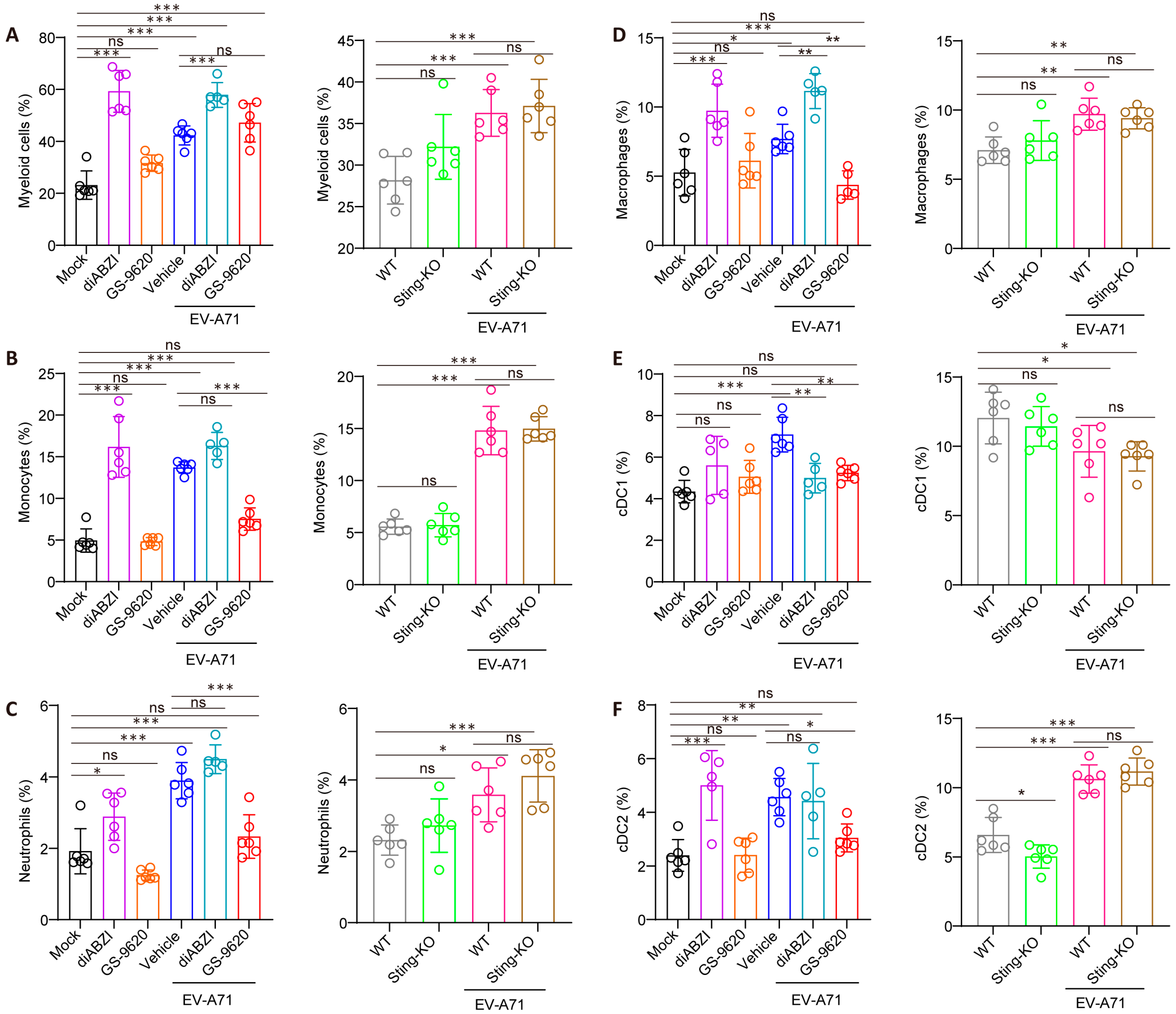 Ijms 26 11441 g005 Ijms 26 11441 g005
