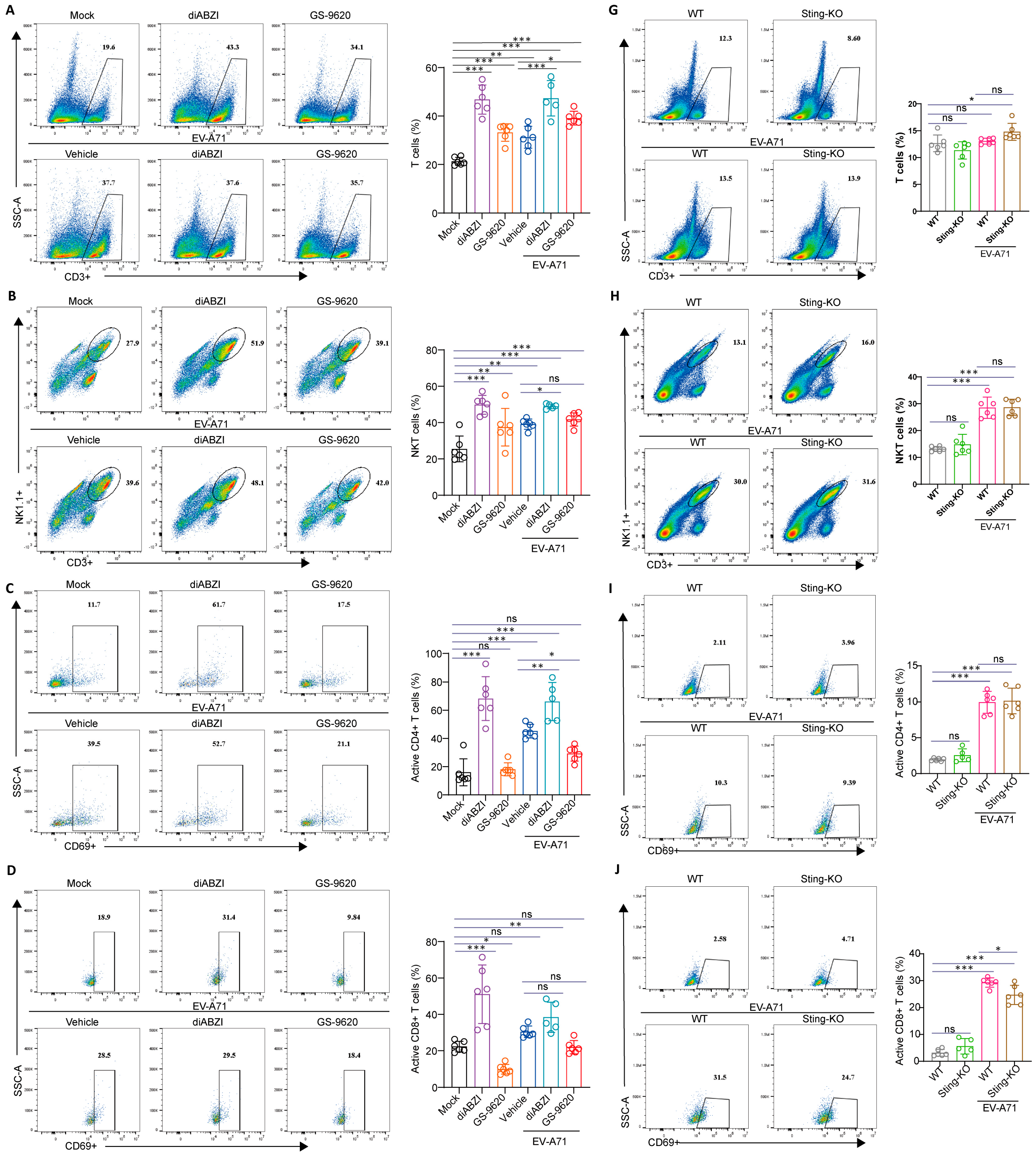 Ijms 26 11441 g006a Ijms 26 11441 g006a