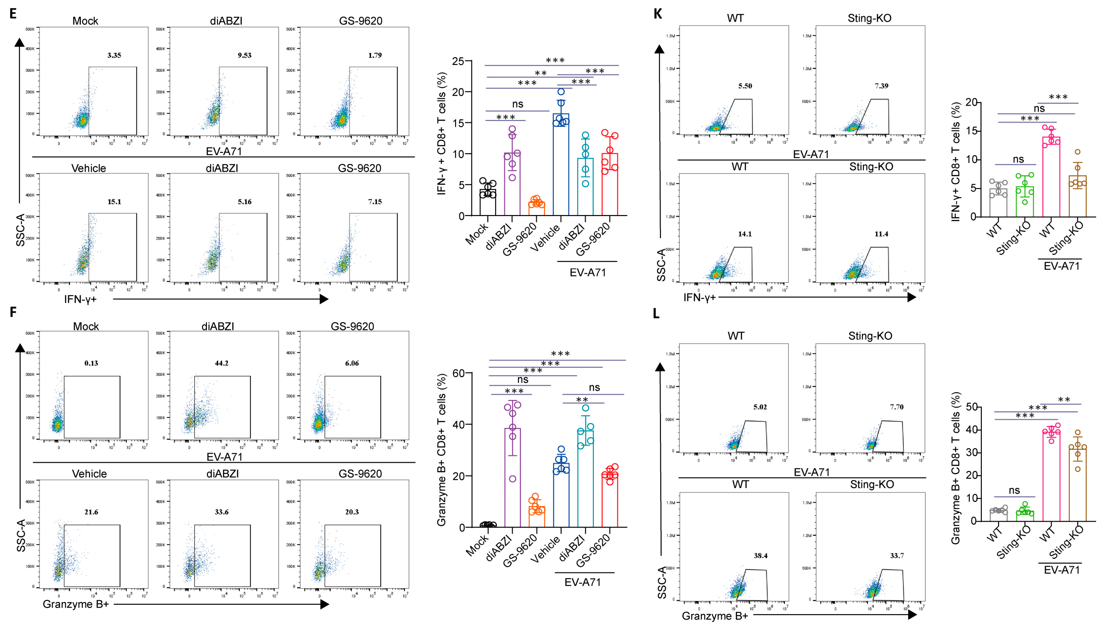 Ijms 26 11441 g006b Ijms 26 11441 g006b