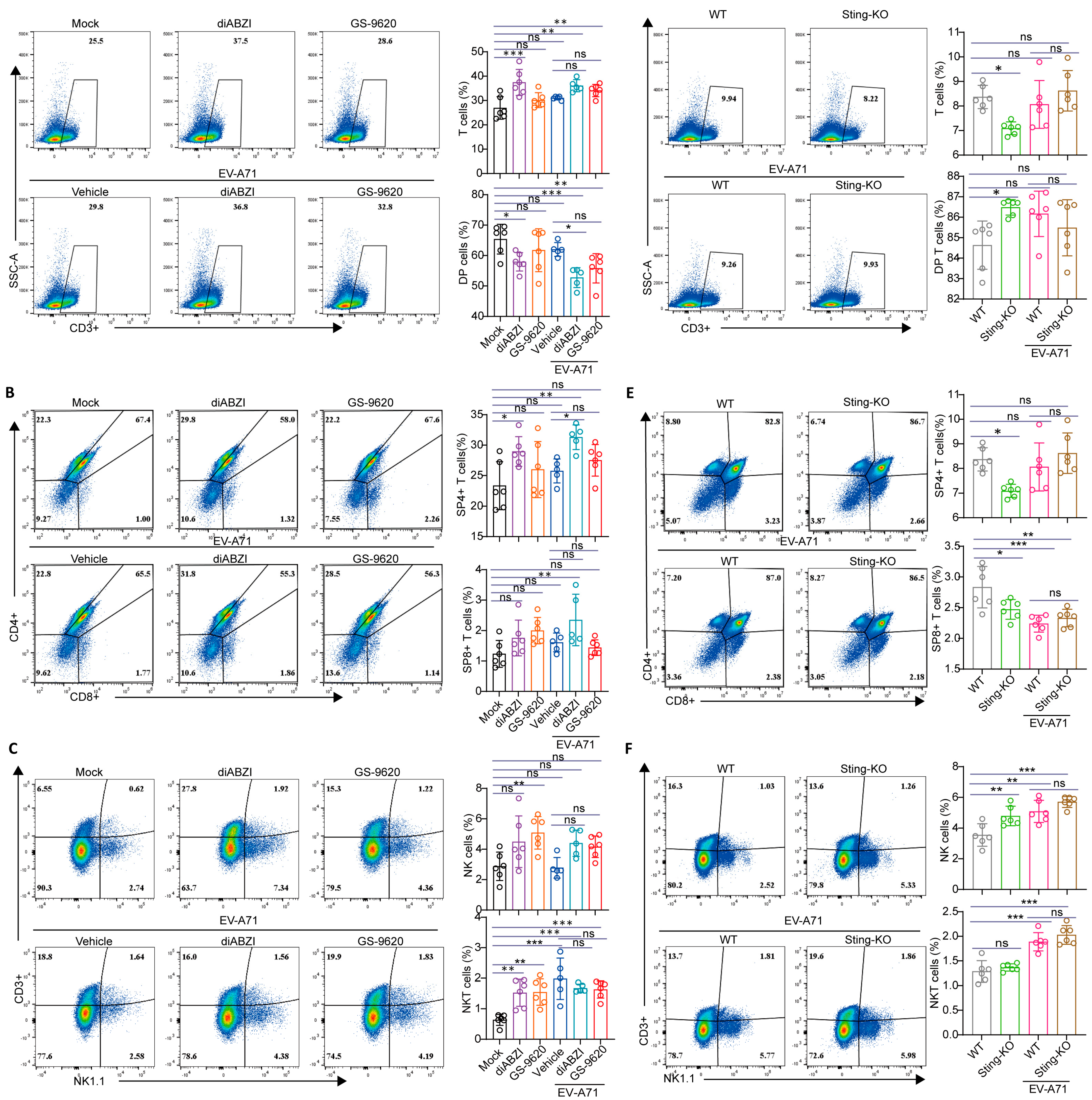 Ijms 26 11441 g007 Ijms 26 11441 g007