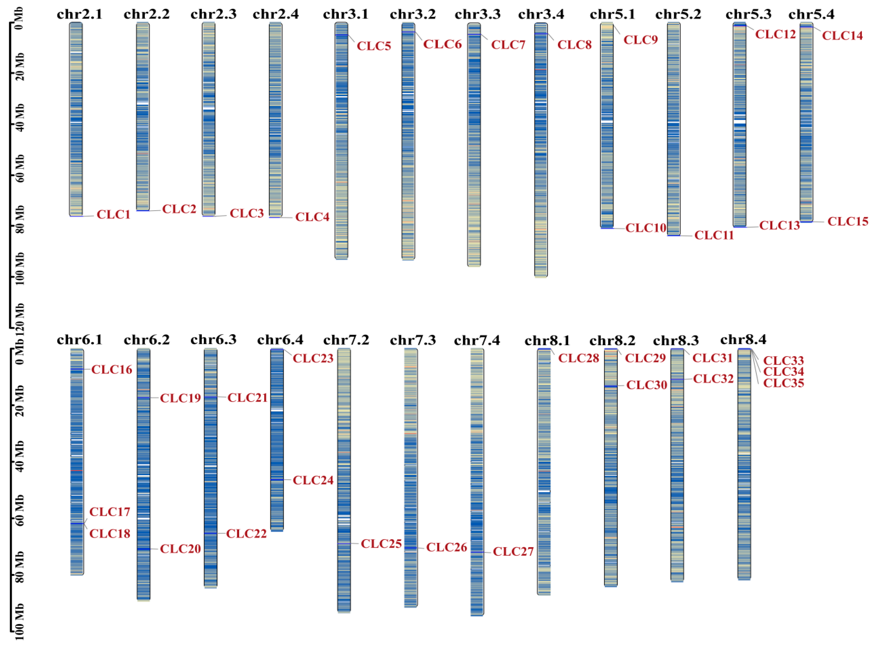 Ijms 26 11442 g001 Ijms 26 11442 g001