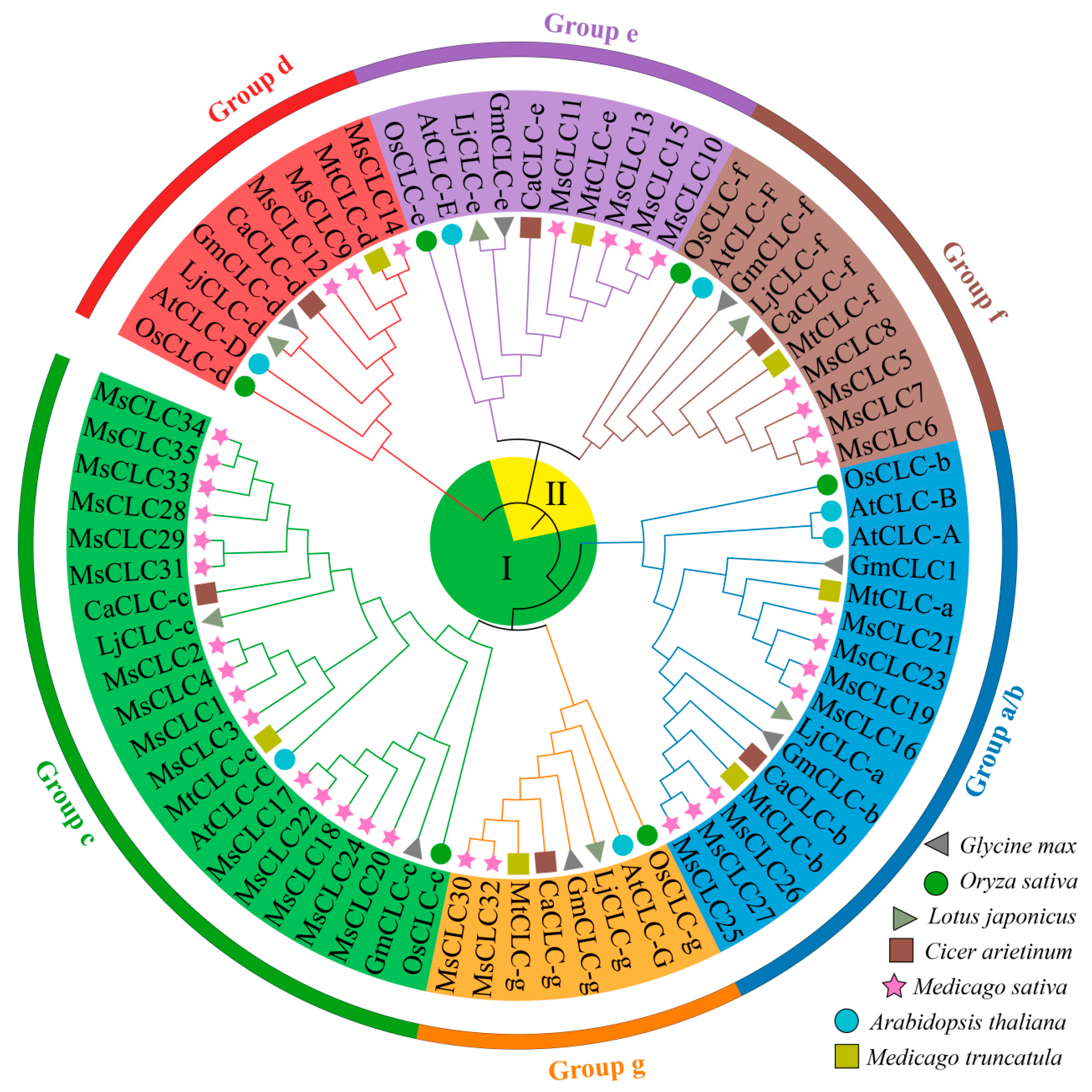 Ijms 26 11442 g002 Ijms 26 11442 g002