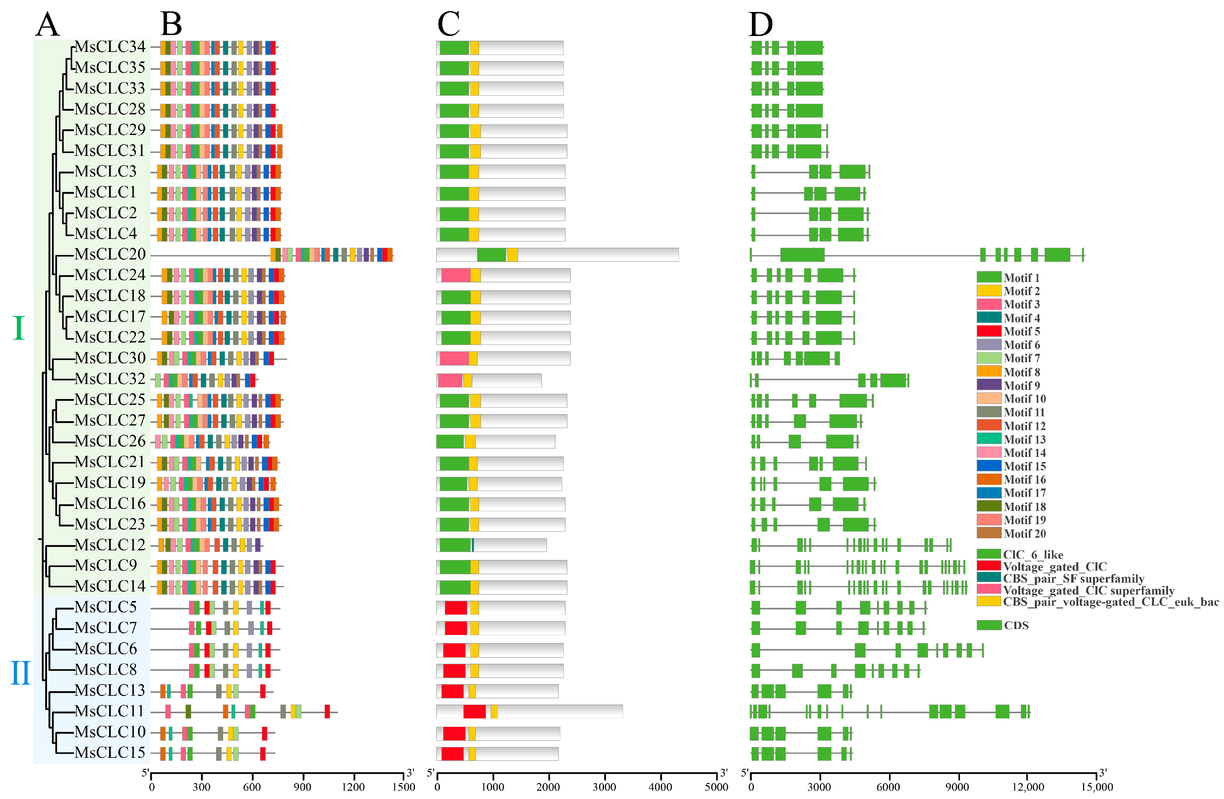 Ijms 26 11442 g003 Ijms 26 11442 g003