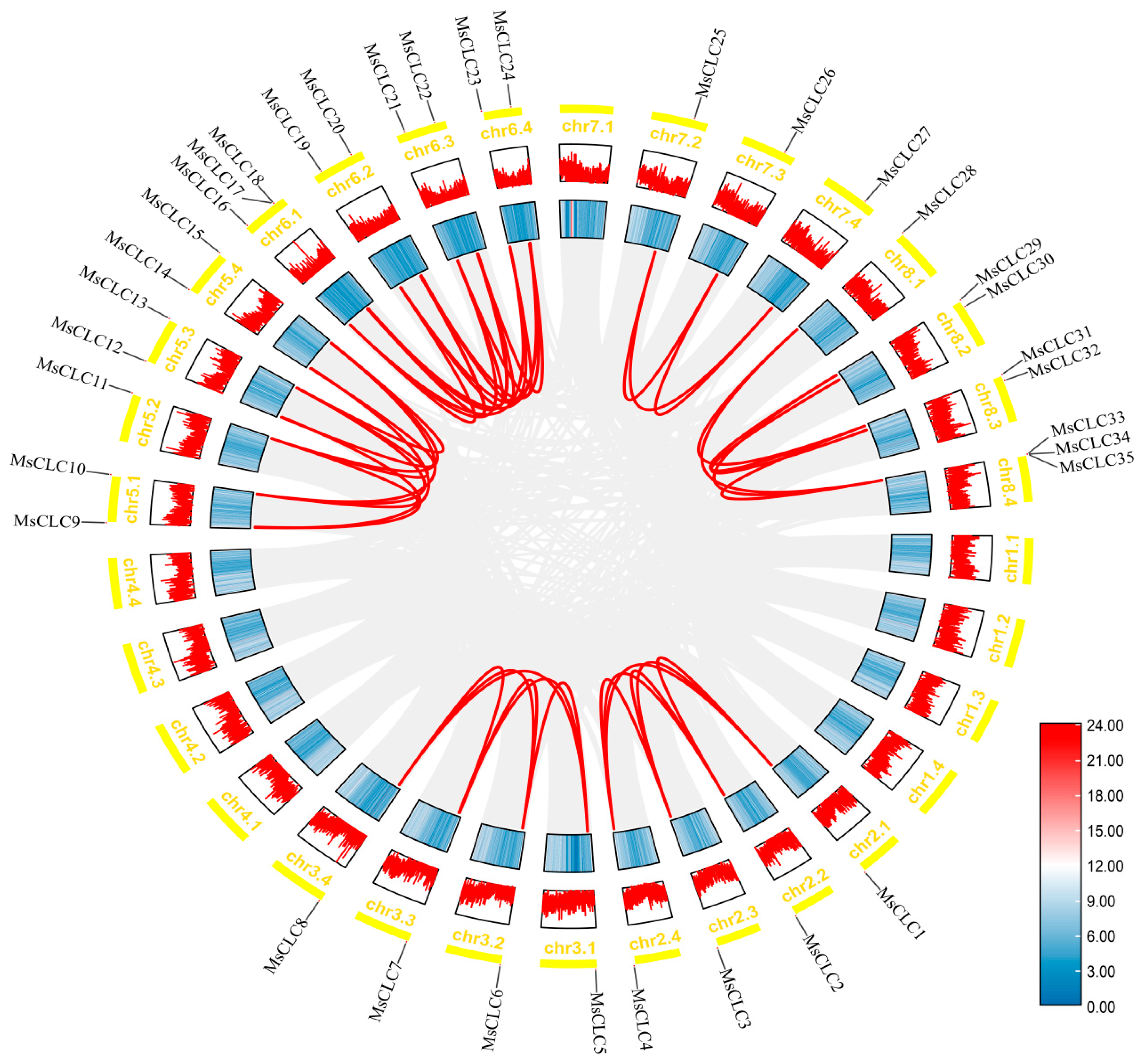 Ijms 26 11442 g004 Ijms 26 11442 g004