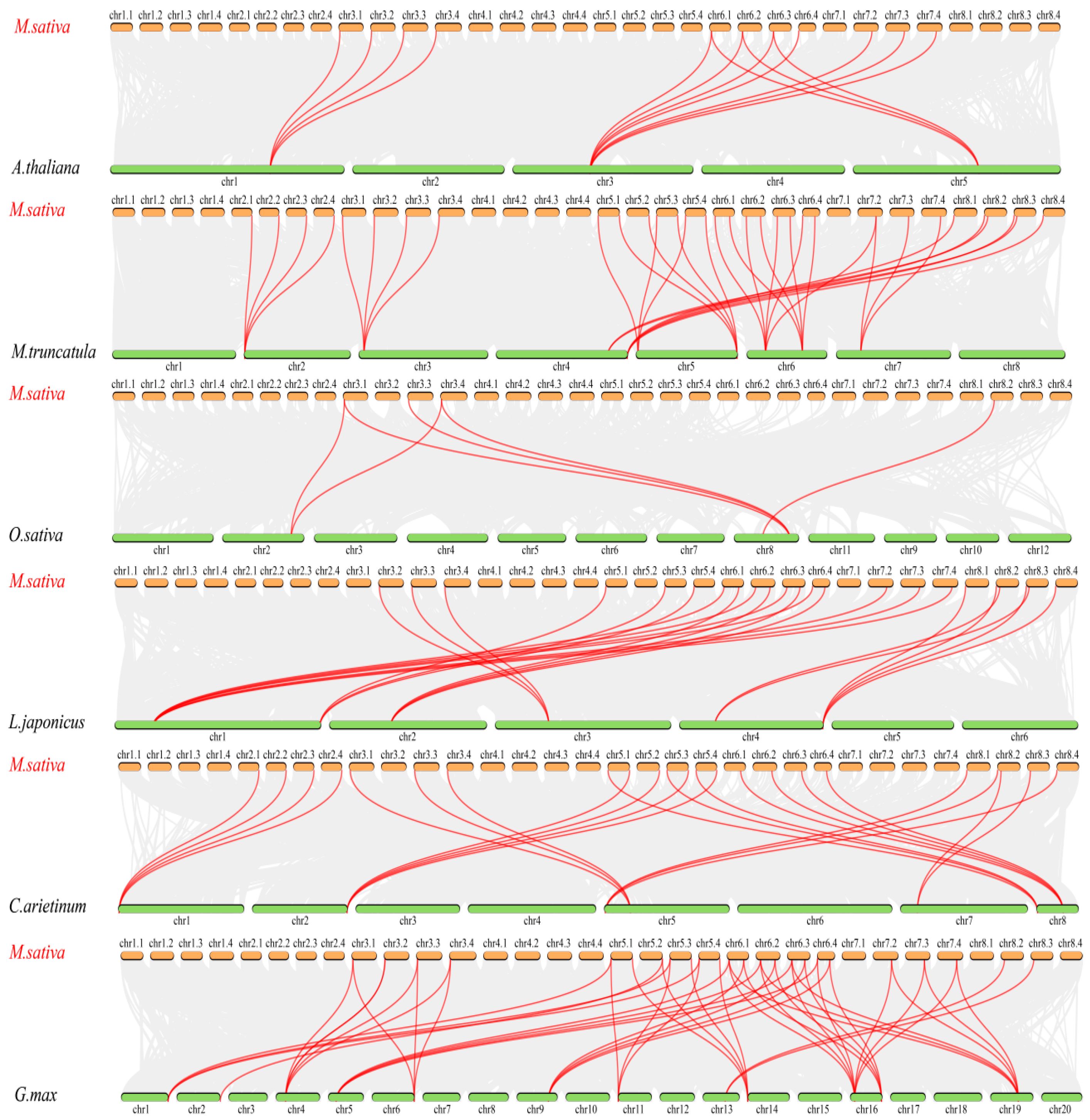Ijms 26 11442 g005 Ijms 26 11442 g005