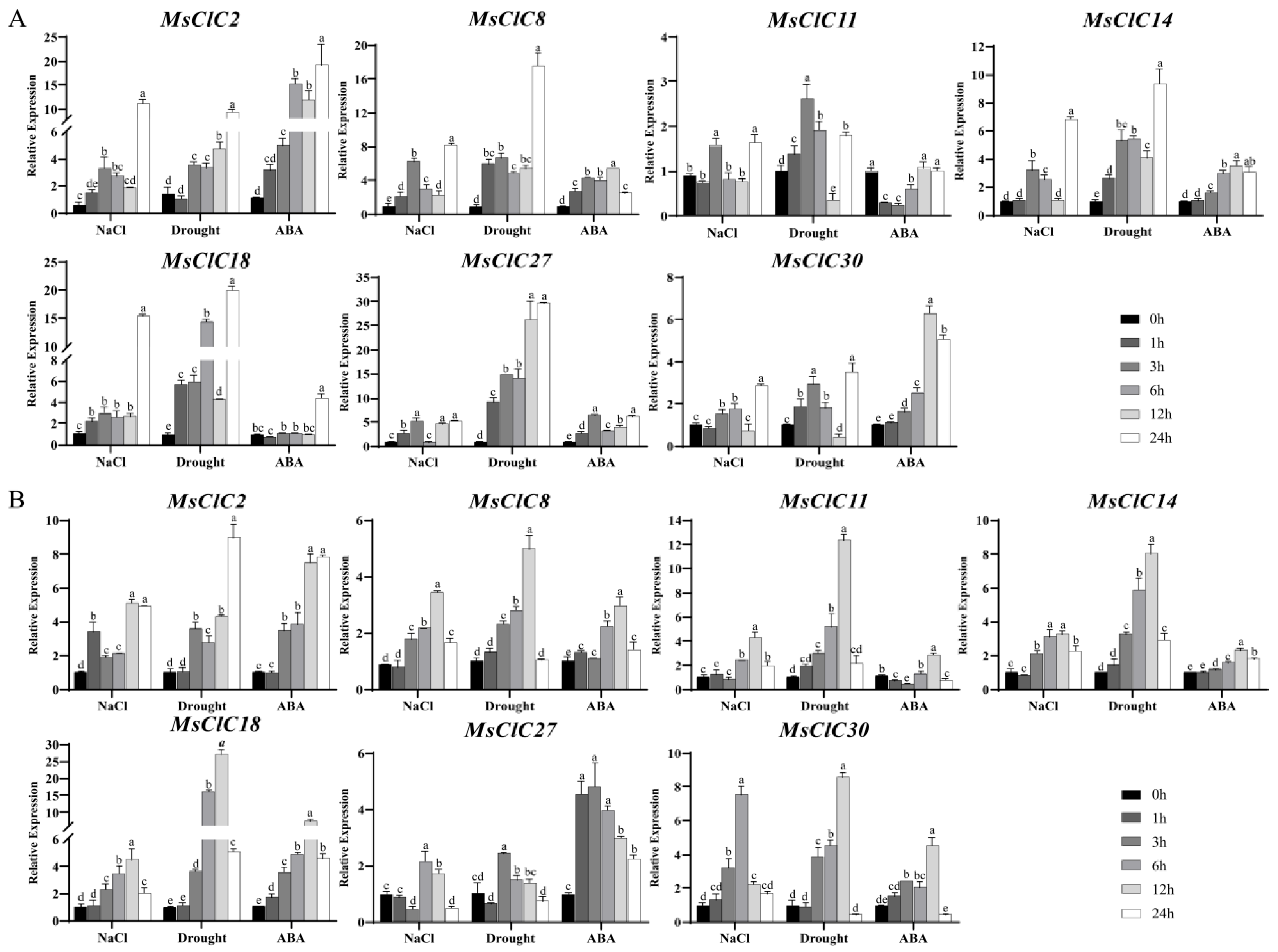 Ijms 26 11442 g007 Ijms 26 11442 g007