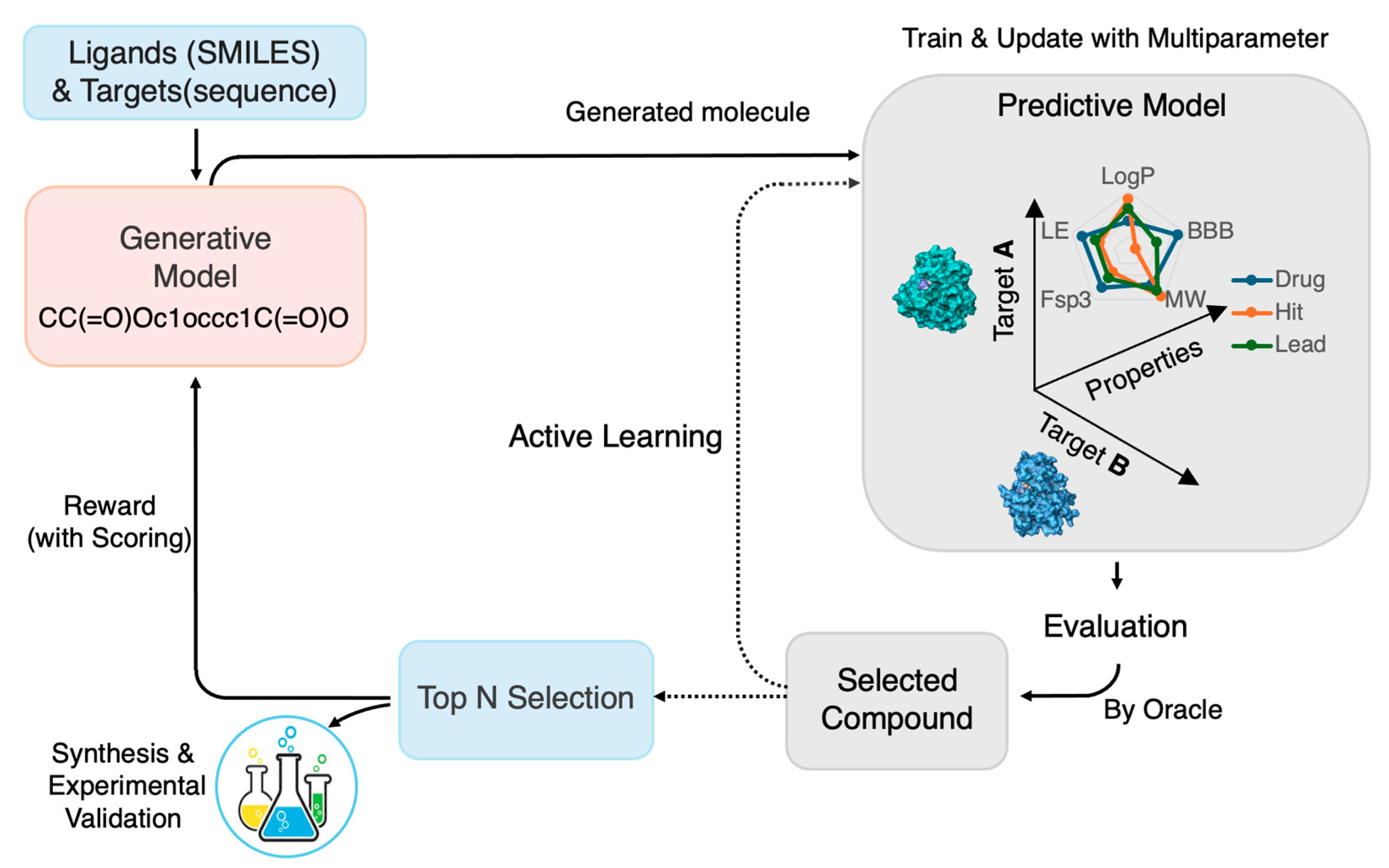 Ijms 26 11443 g001 Ijms 26 11443 g001