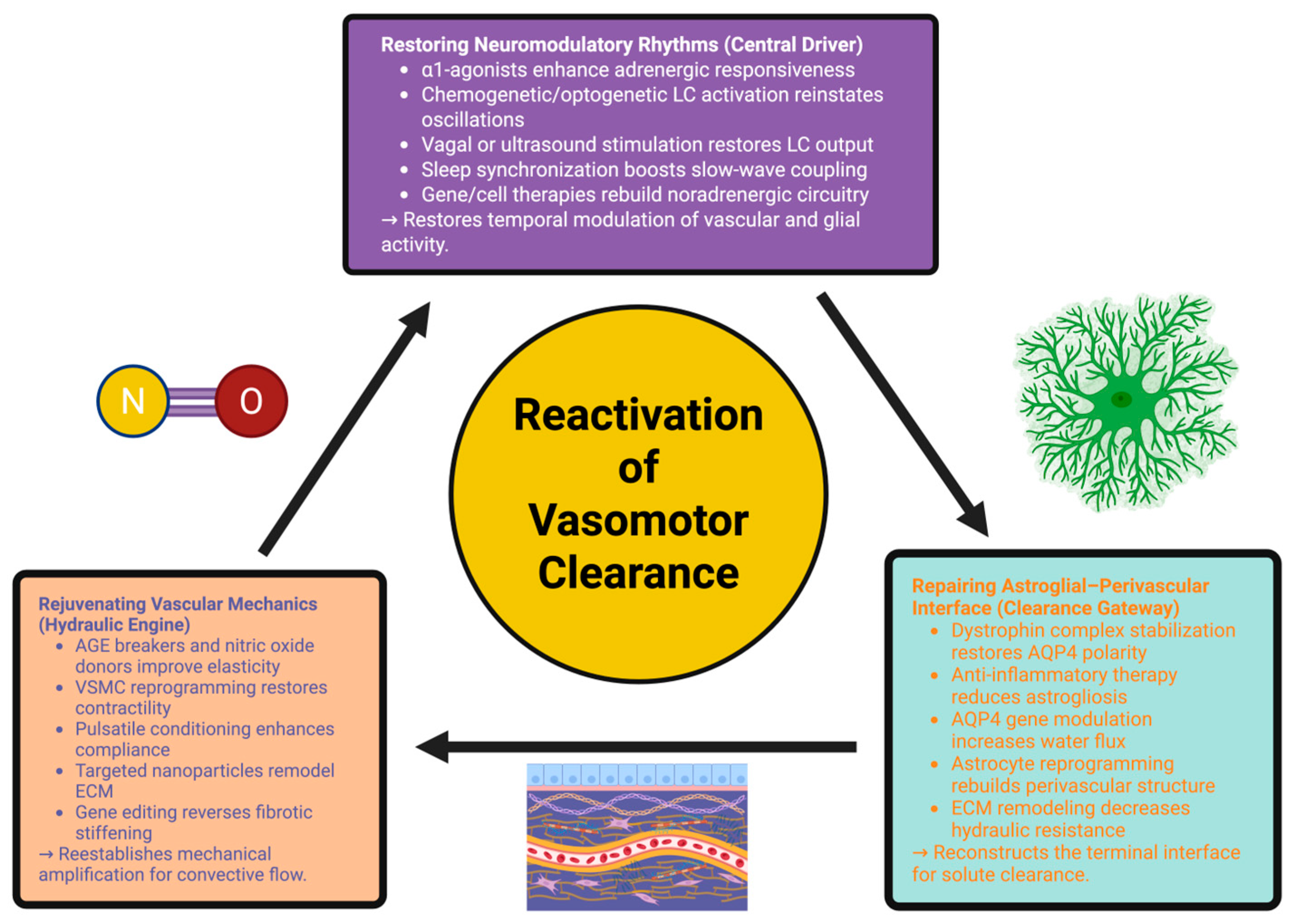 Ijms 26 11444 g002 Ijms 26 11444 g002