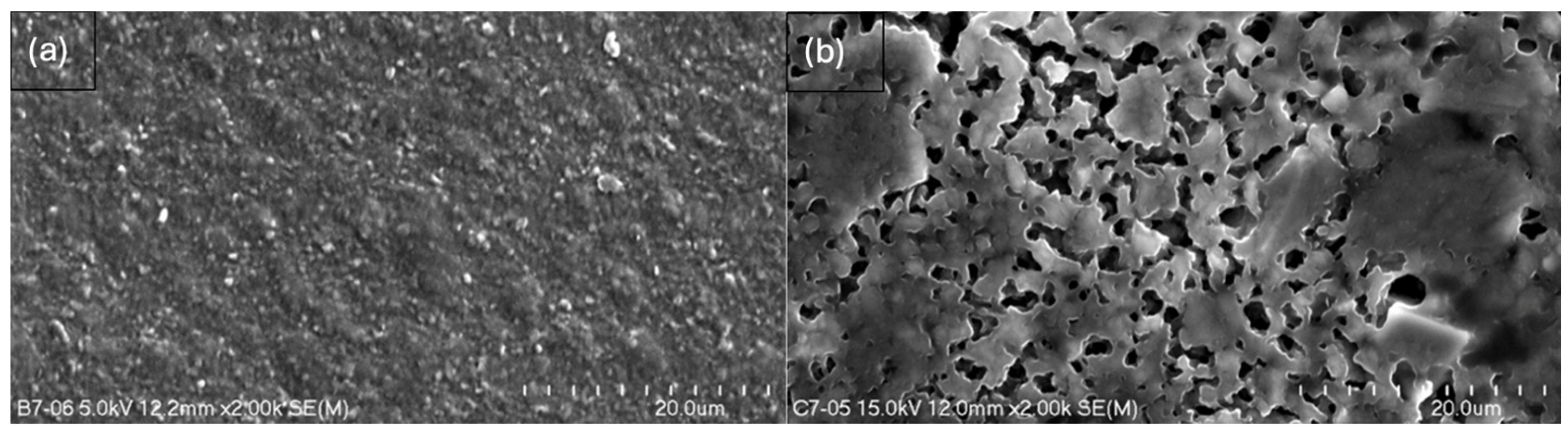 Ijms 26 11445 g007 Ijms 26 11445 g007