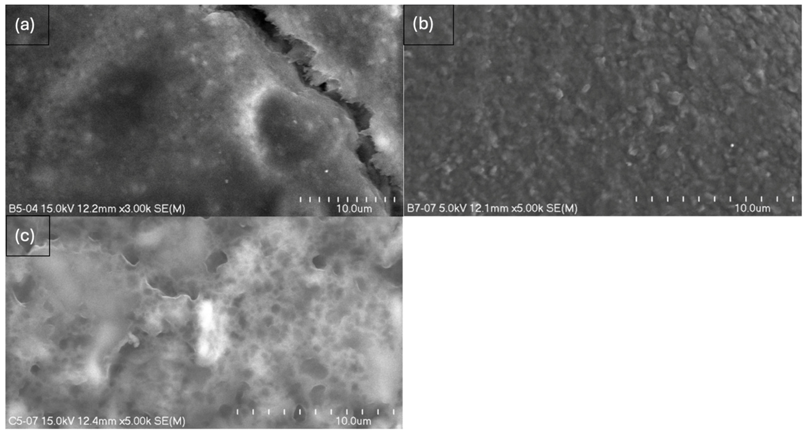 Ijms 26 11445 g008 Ijms 26 11445 g008