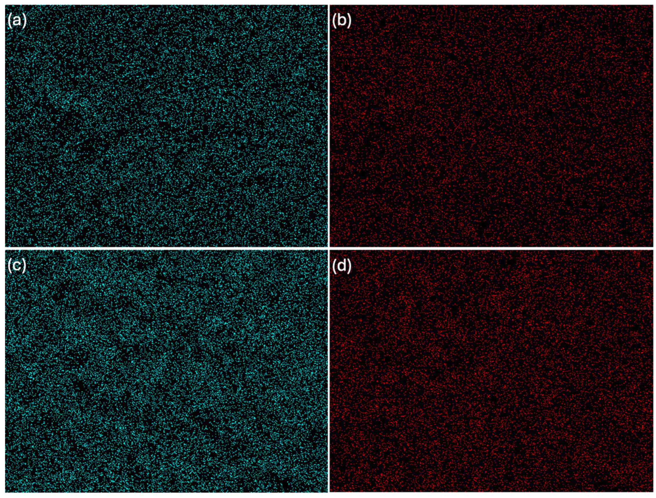 Ijms 26 11445 g009 Ijms 26 11445 g009